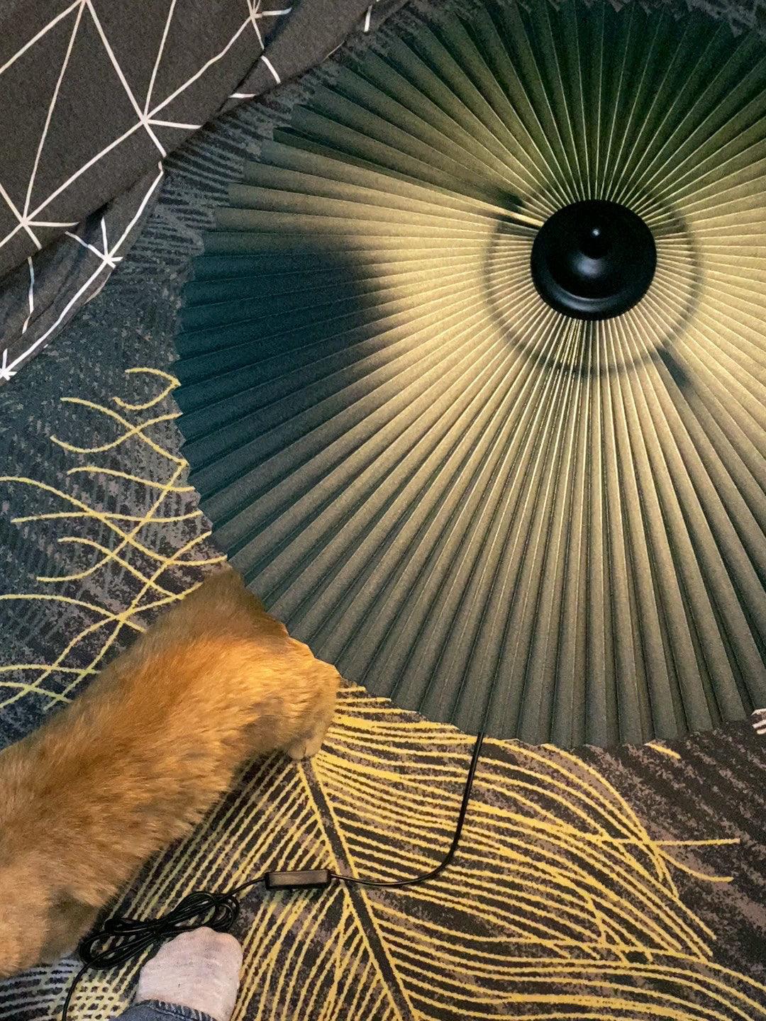 Pleated Hat Portable Lamp Table Lamp