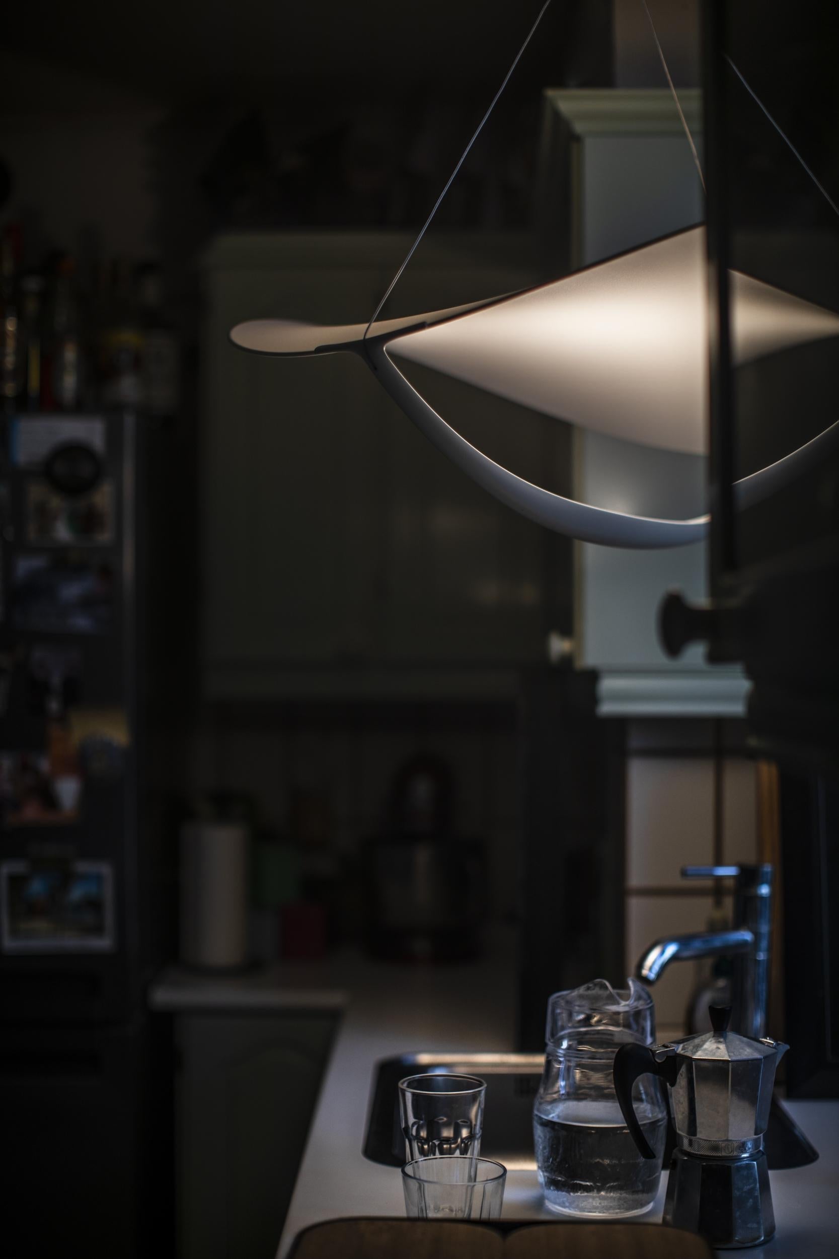 Plena Hanging Light Pendant Light