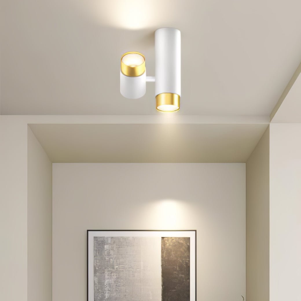 Puma Spotlight Ceiling-mounted Light Ceiling Light
