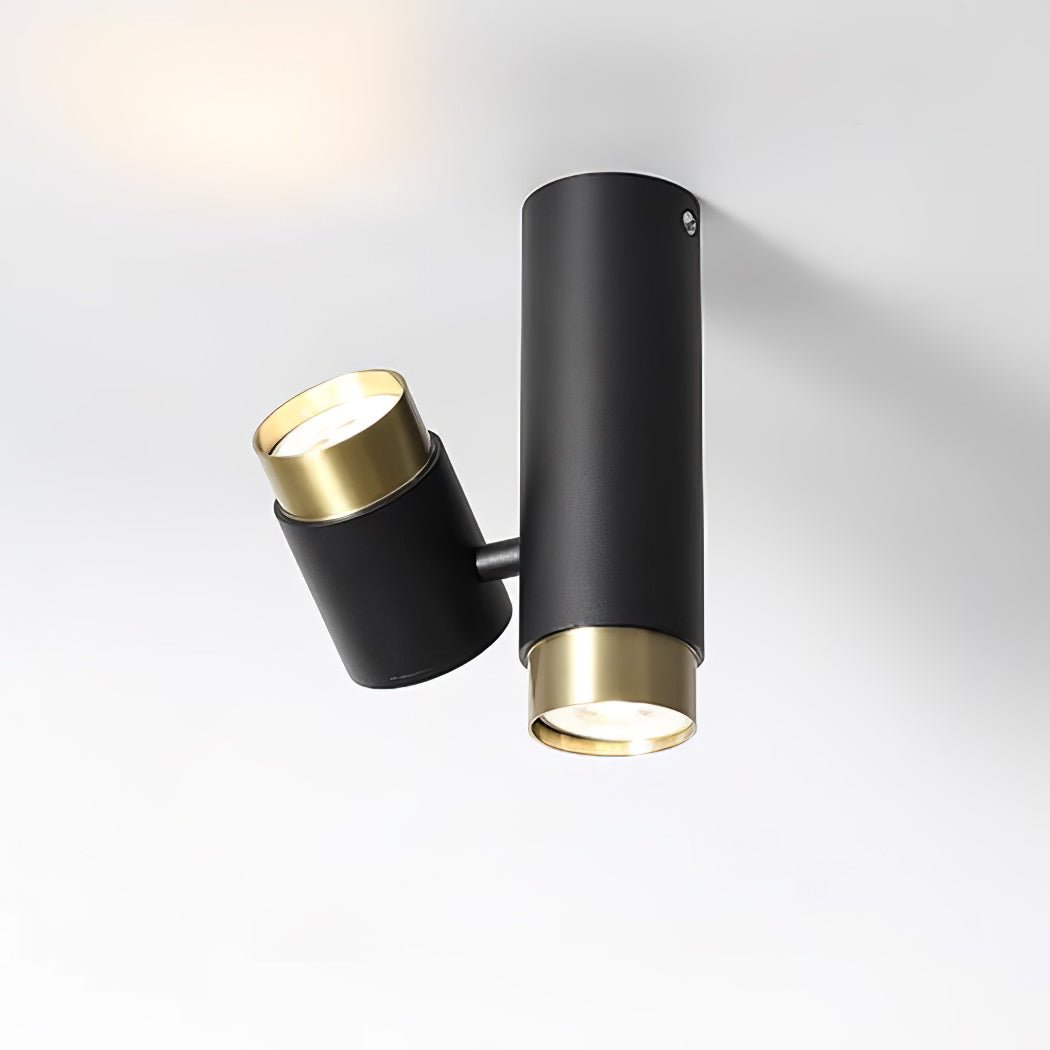 Puma Spotlight Ceiling-mounted Light Ceiling Light