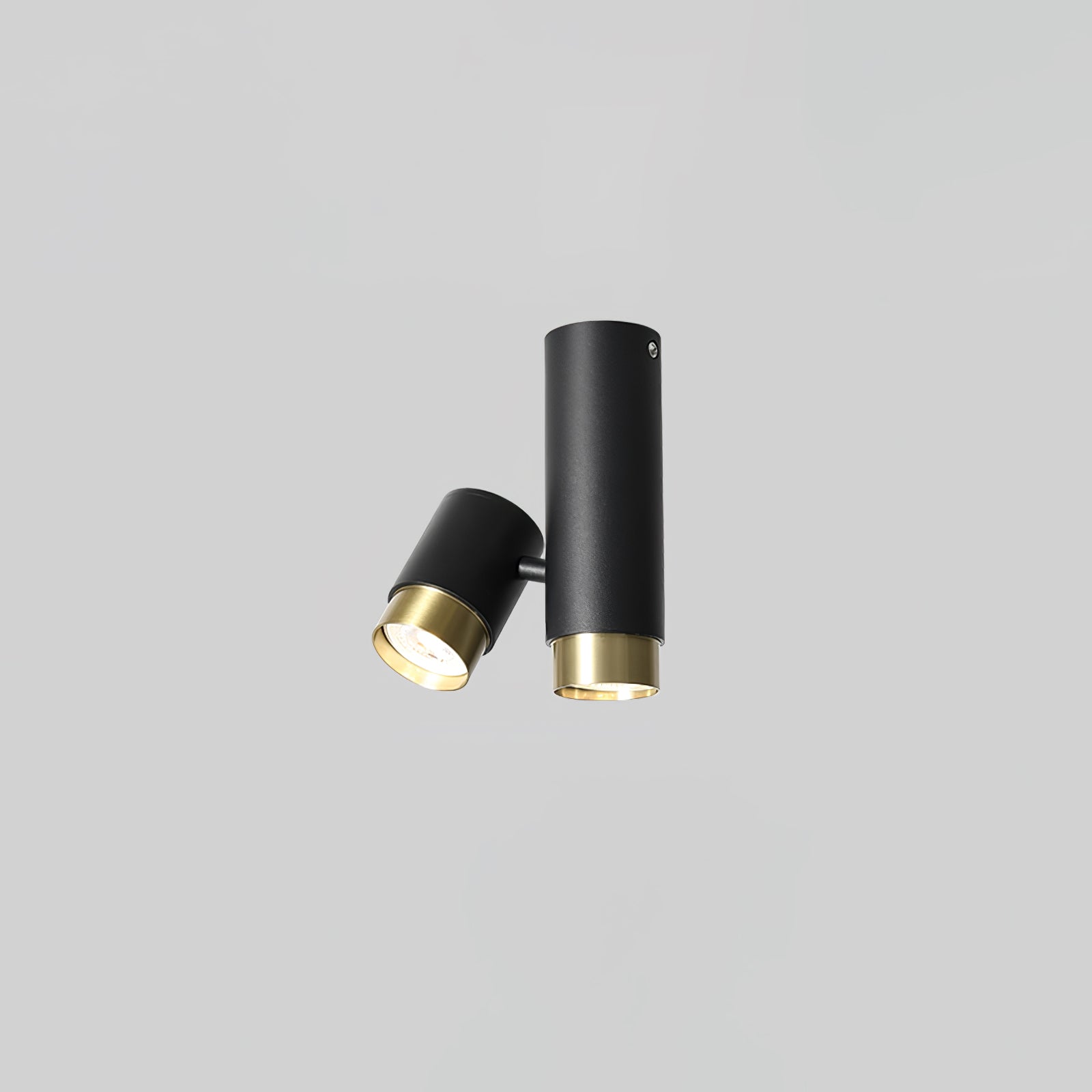 Puma Spotlight Ceiling-mounted Light Ceiling Light