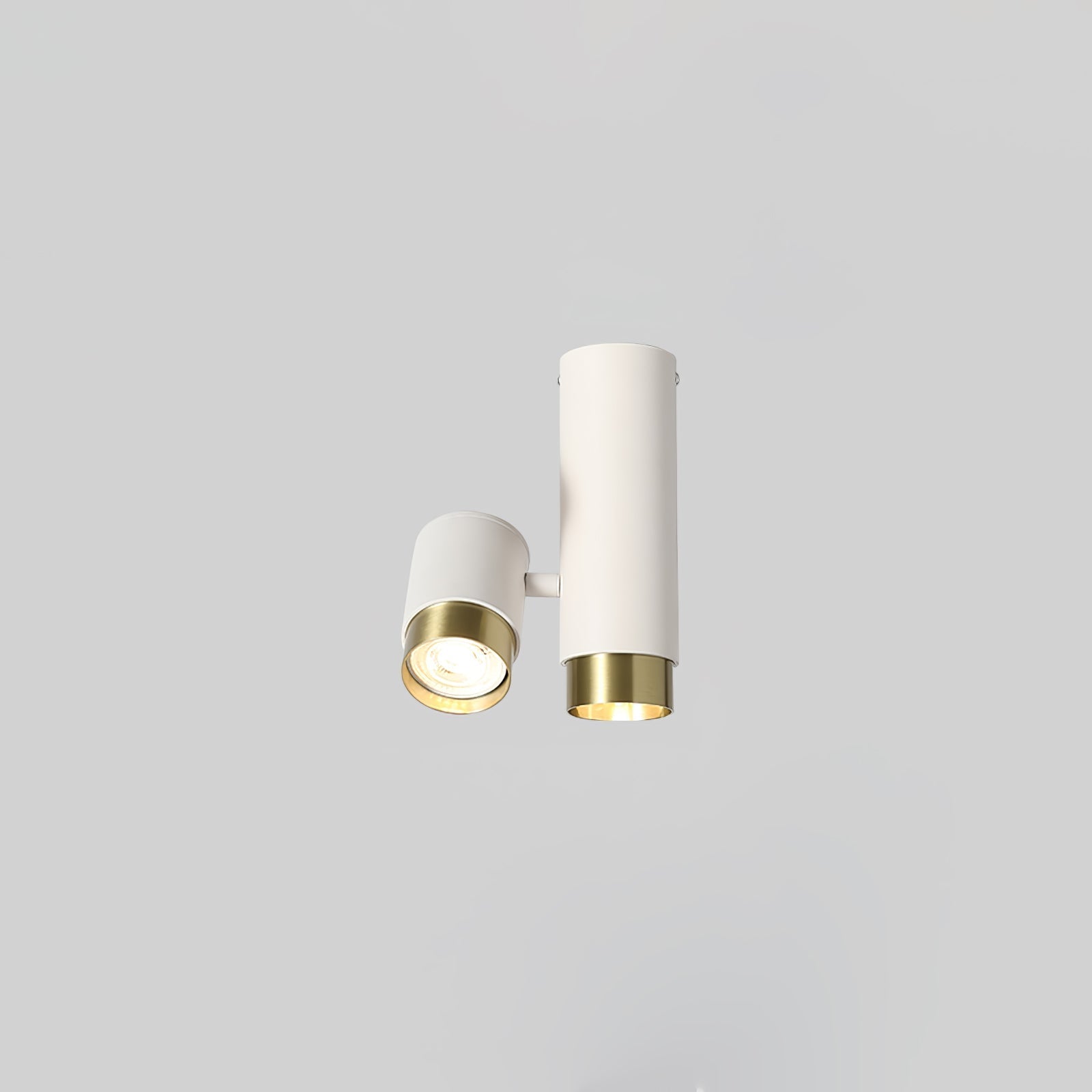 Puma Spotlight Ceiling-mounted Light Ceiling Light