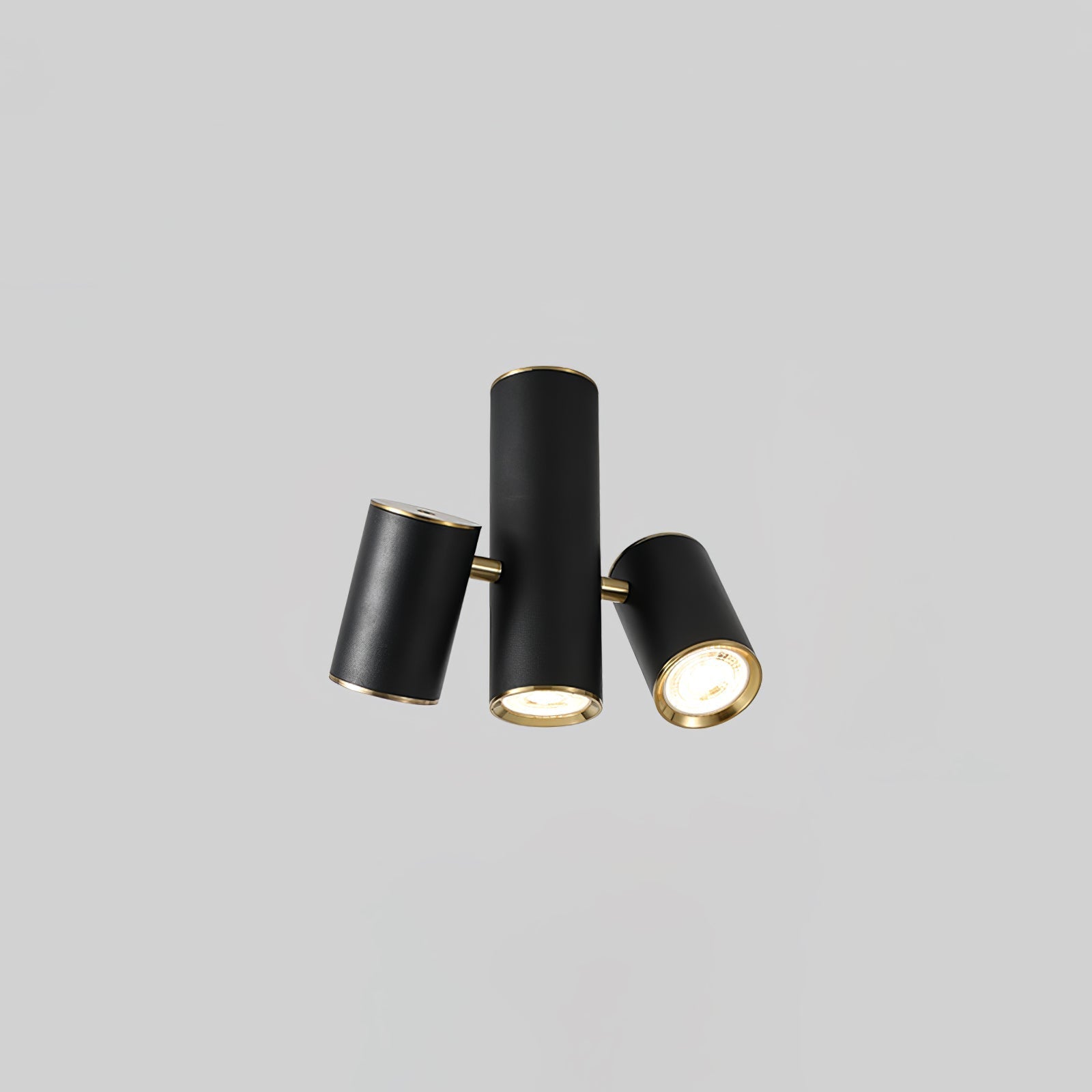 Puma Spotlight Ceiling-mounted Light Ceiling Light