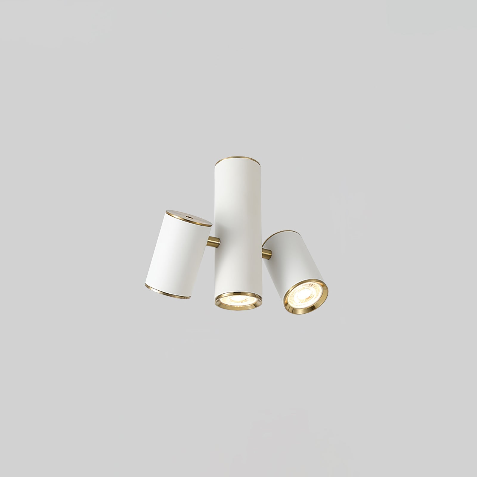 Puma Spotlight Ceiling-mounted Light Ceiling Light