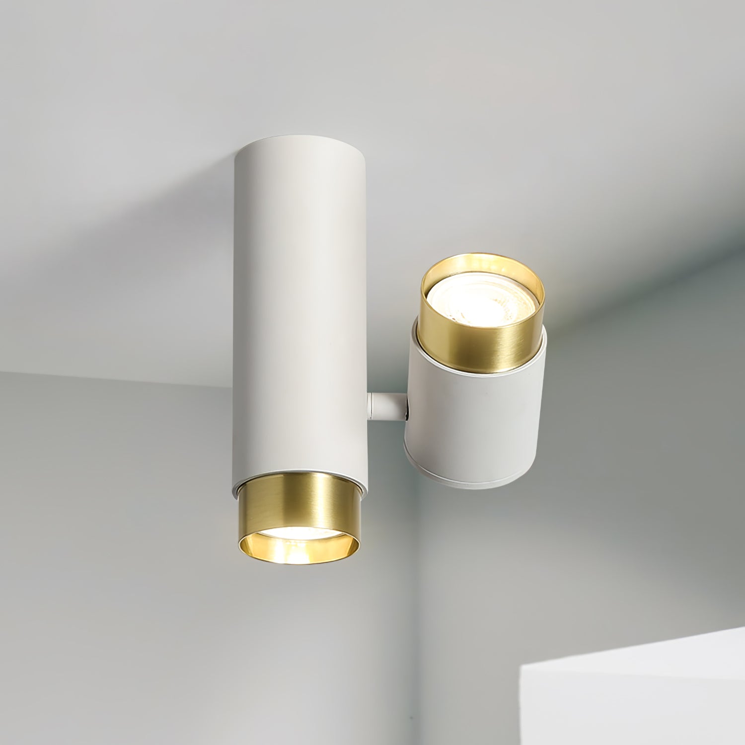 Puma Spotlight Ceiling-mounted Light Ceiling Light