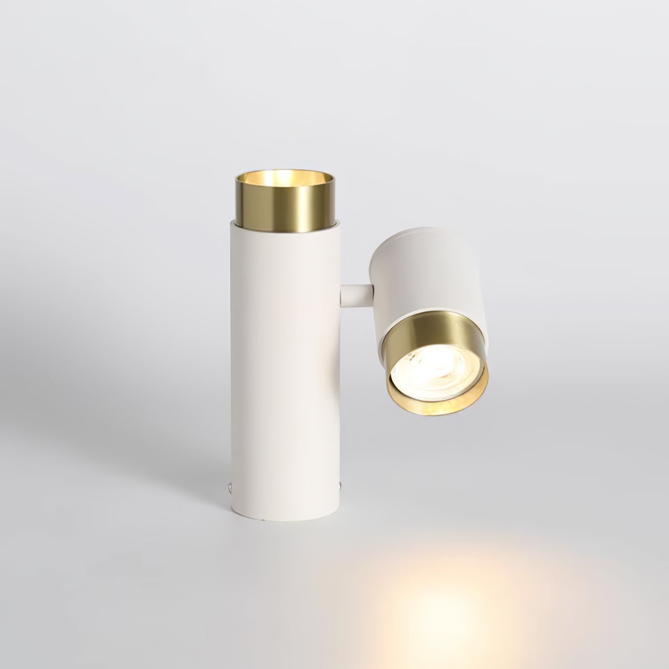 Puma Spotlight Ceiling-mounted Light Ceiling Light