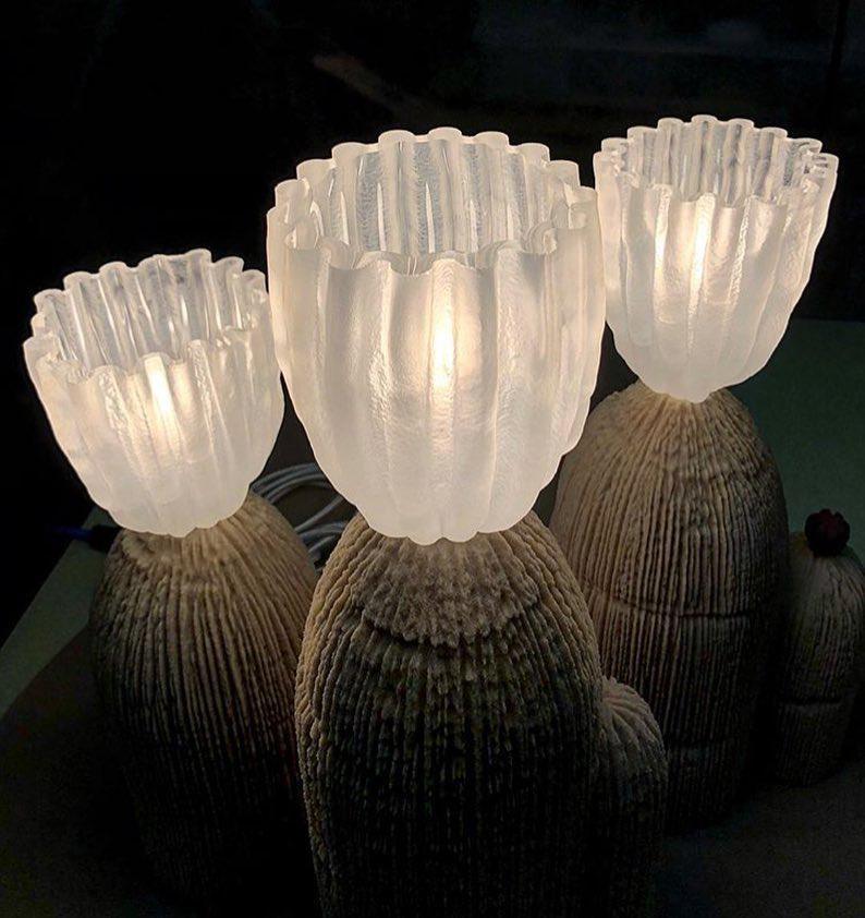 RBS Reading Light Cactus Lamp