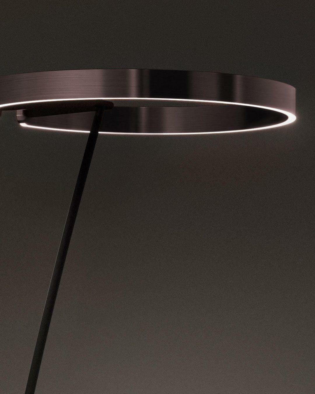 Ring Floor Light Floor Lamp
