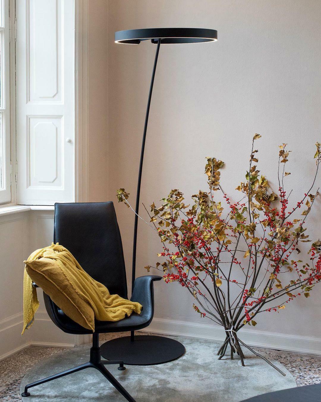 Ring Floor Light Floor Lamp