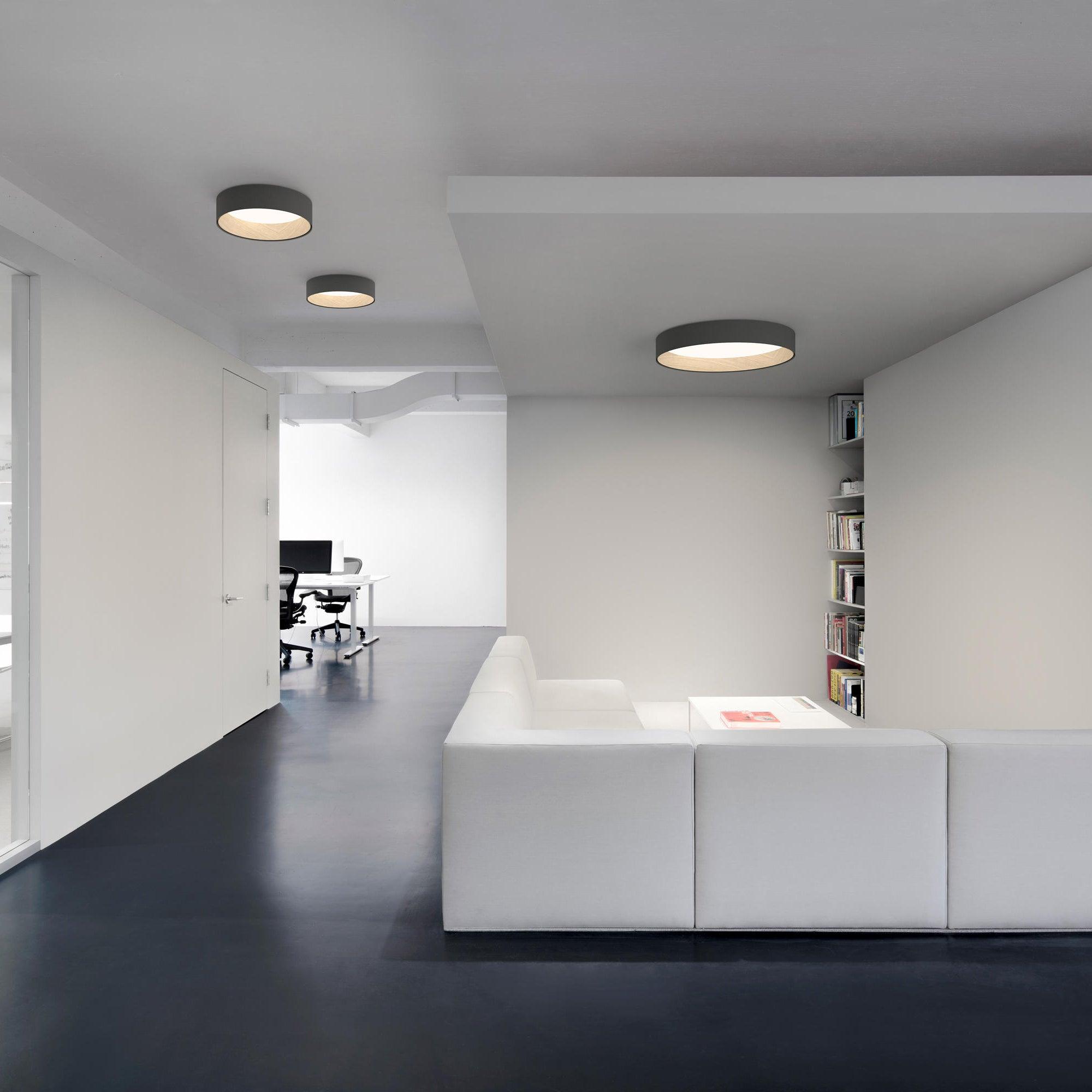 Round Ceiling Light Ceiling Lamp