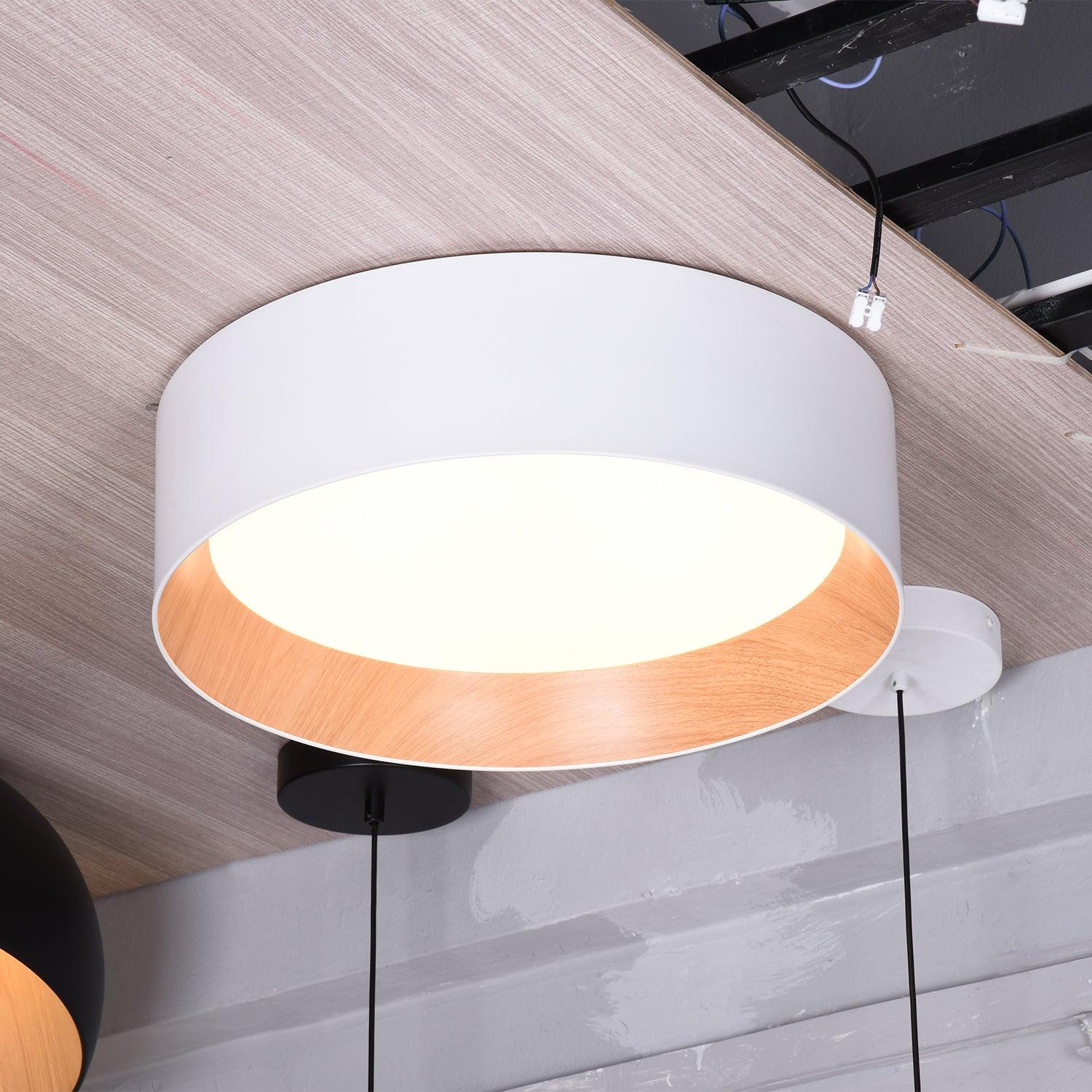 Round Ceiling Light Ceiling Lamp