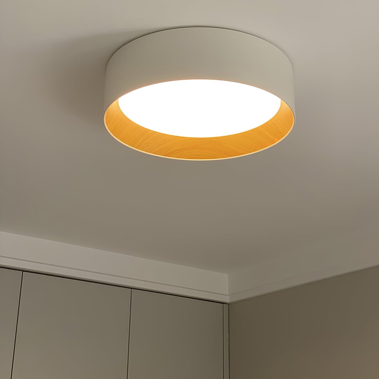 Round Ceiling Light Ceiling Lamp