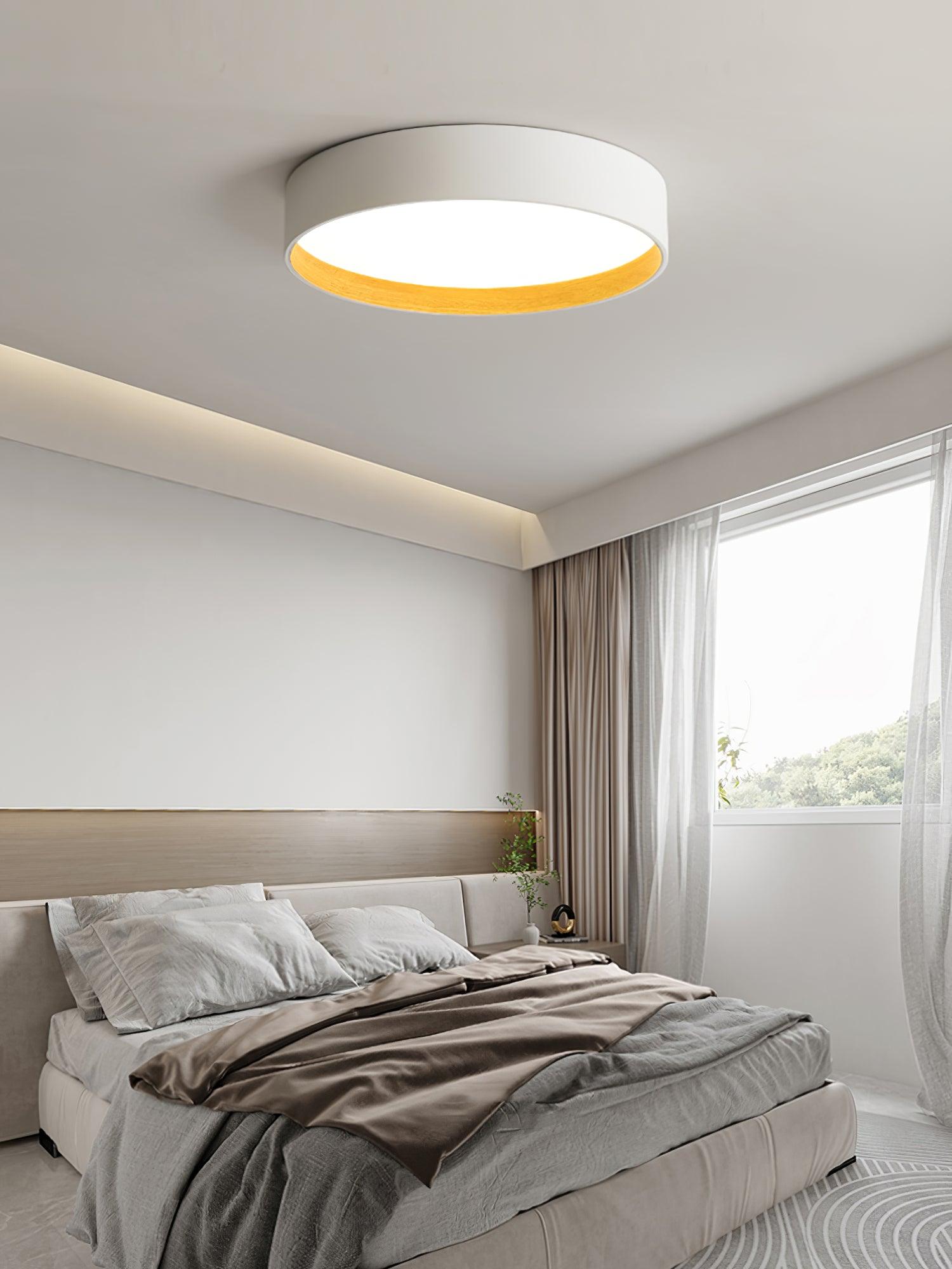 Round Ceiling Light Ceiling Lamp