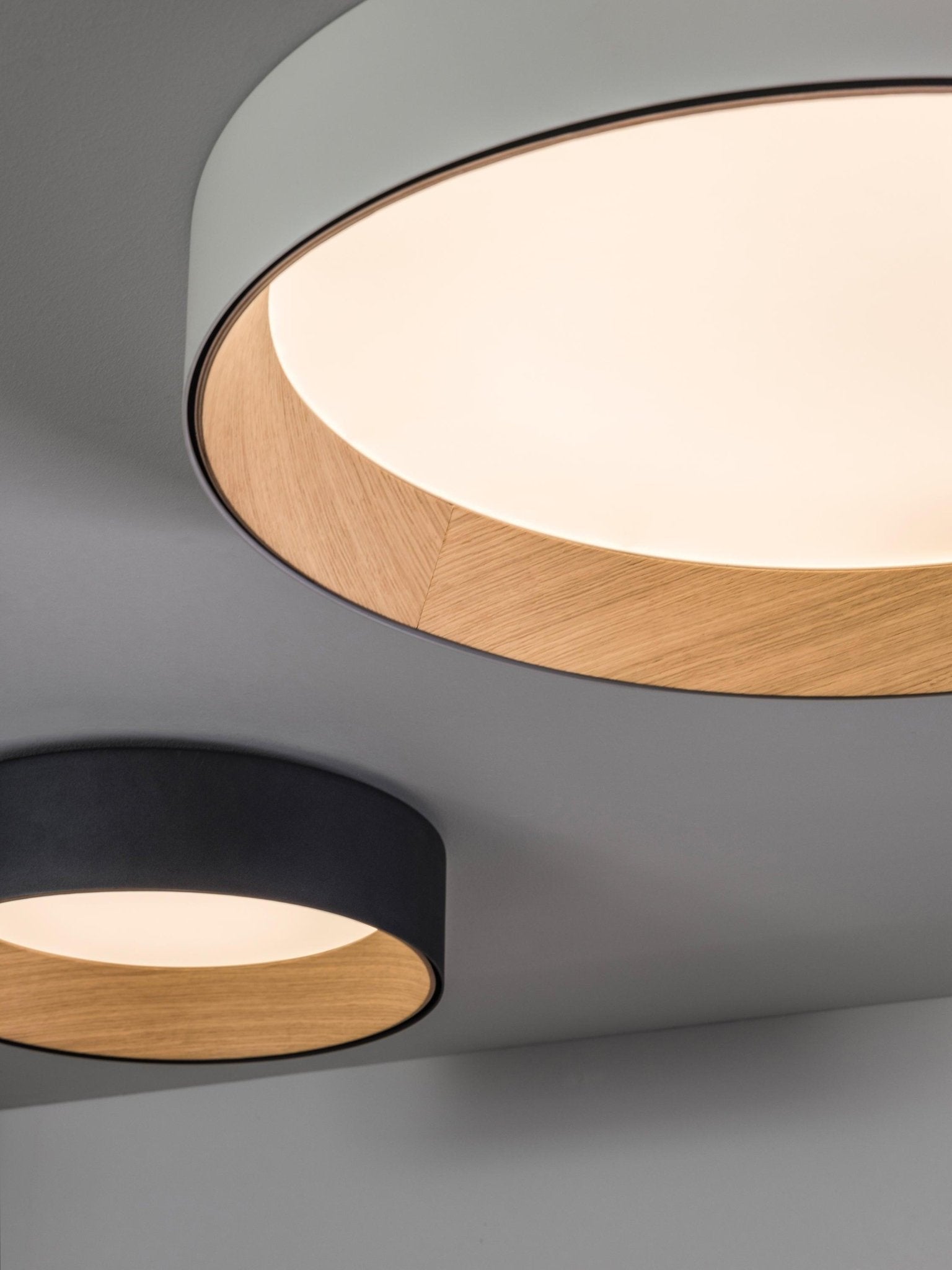 Round Ceiling Light Ceiling Lamp