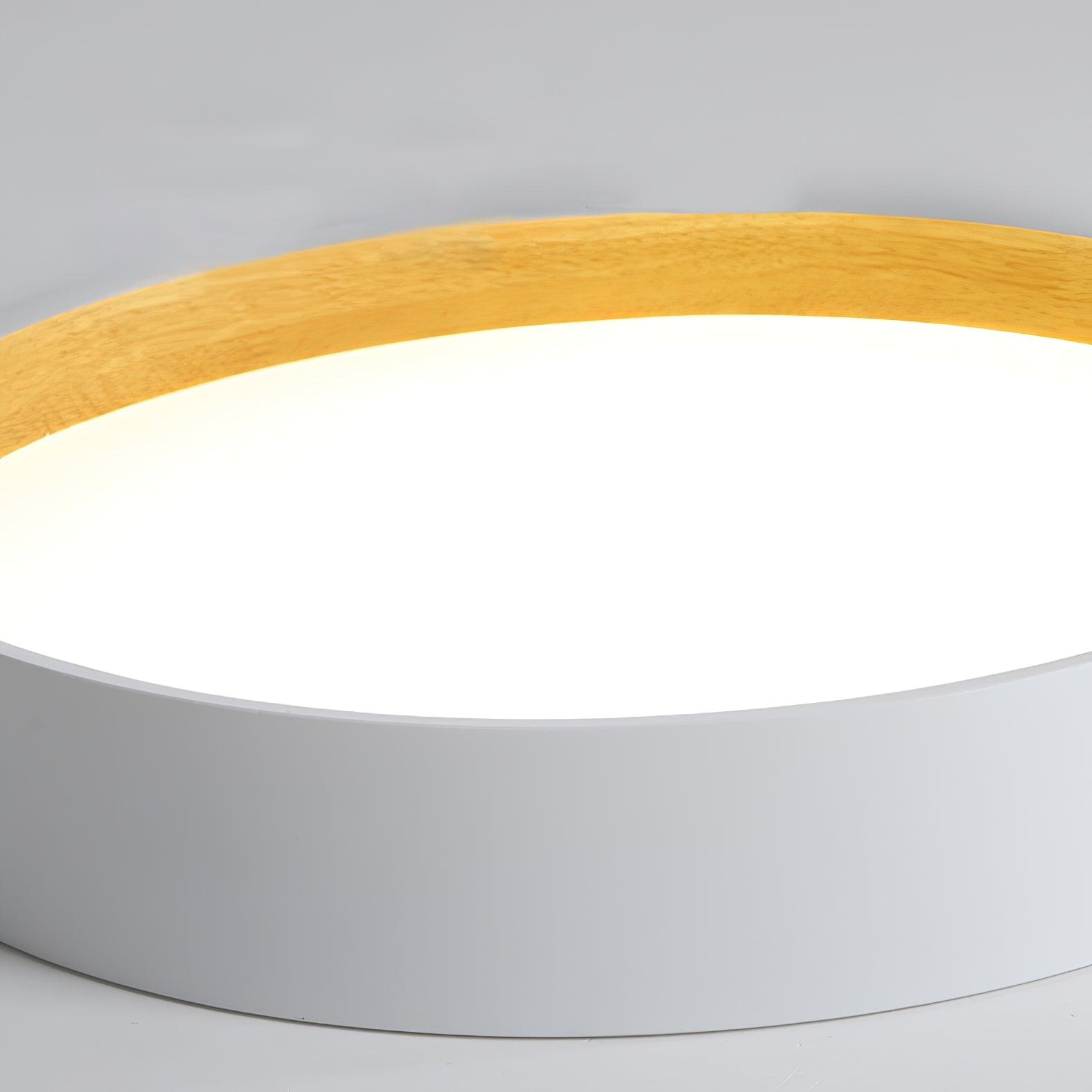 Round Ceiling Light Ceiling Lamp
