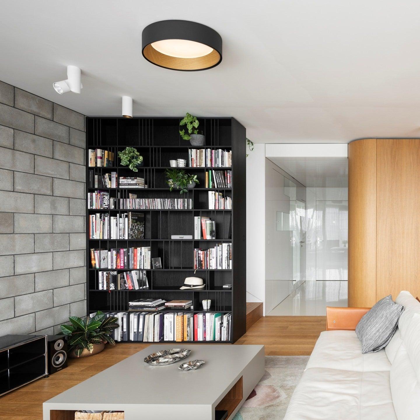 Round Ceiling Light Ceiling Lamp