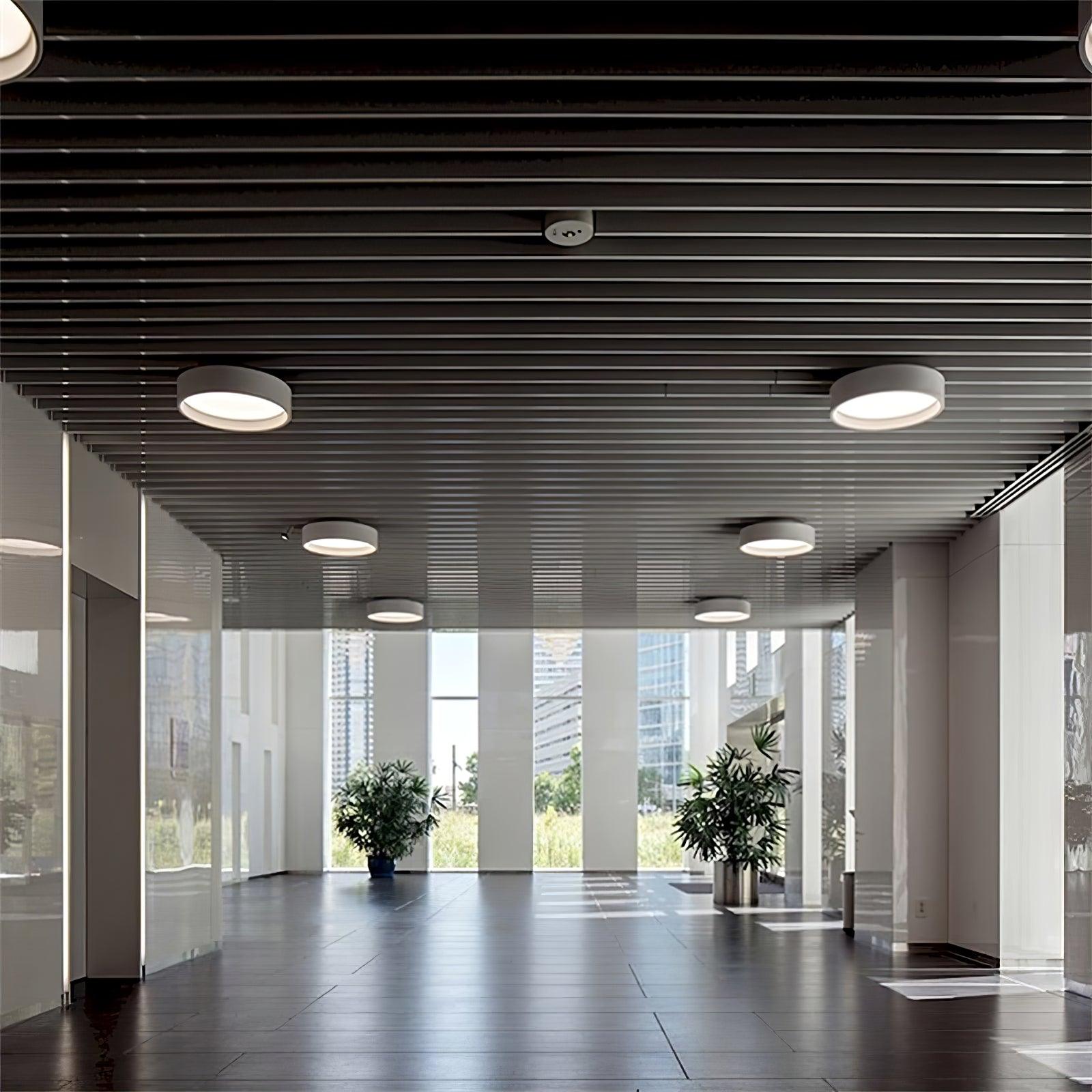 Round Ceiling Light Ceiling Lamp