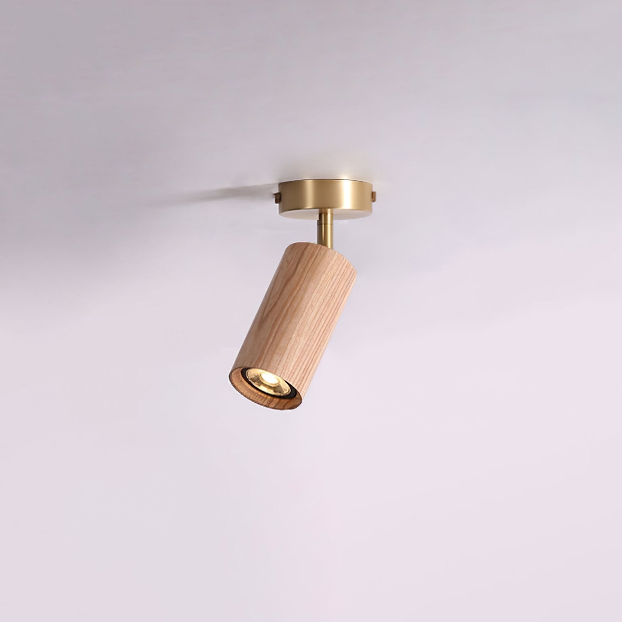 Rowan Ceiling Light