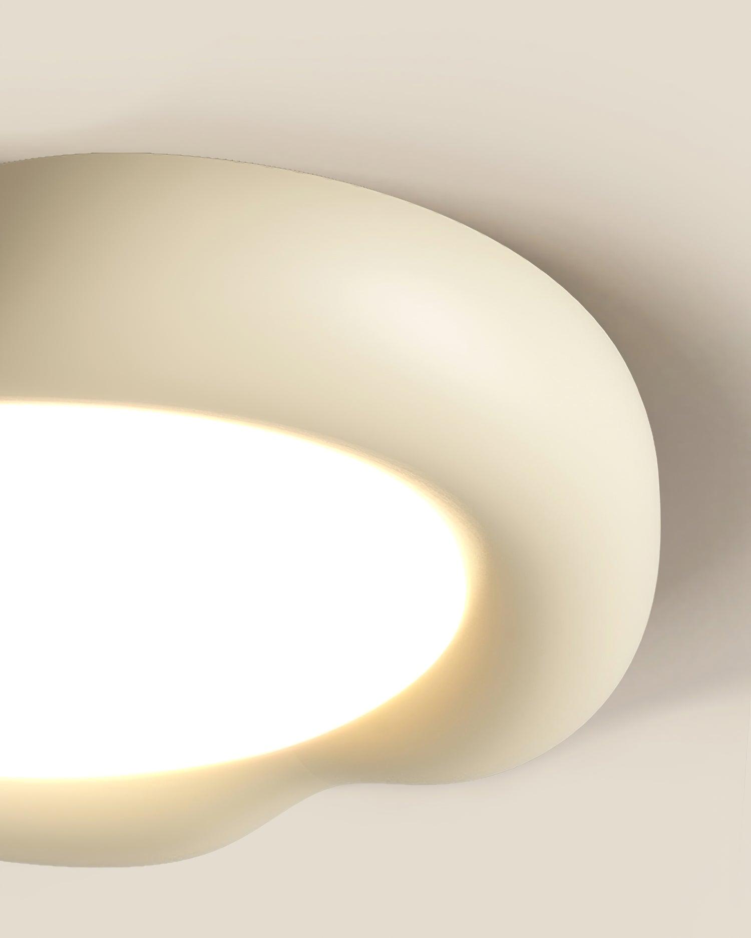 Shaped Apple Ceiling Light Ceiling Lamp