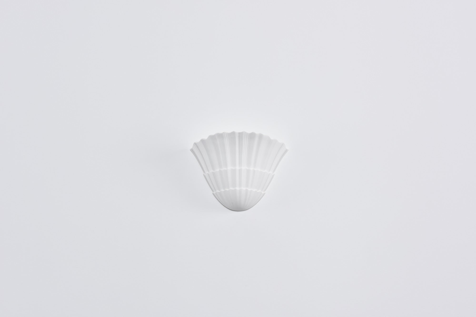 Shella Wall Sconce