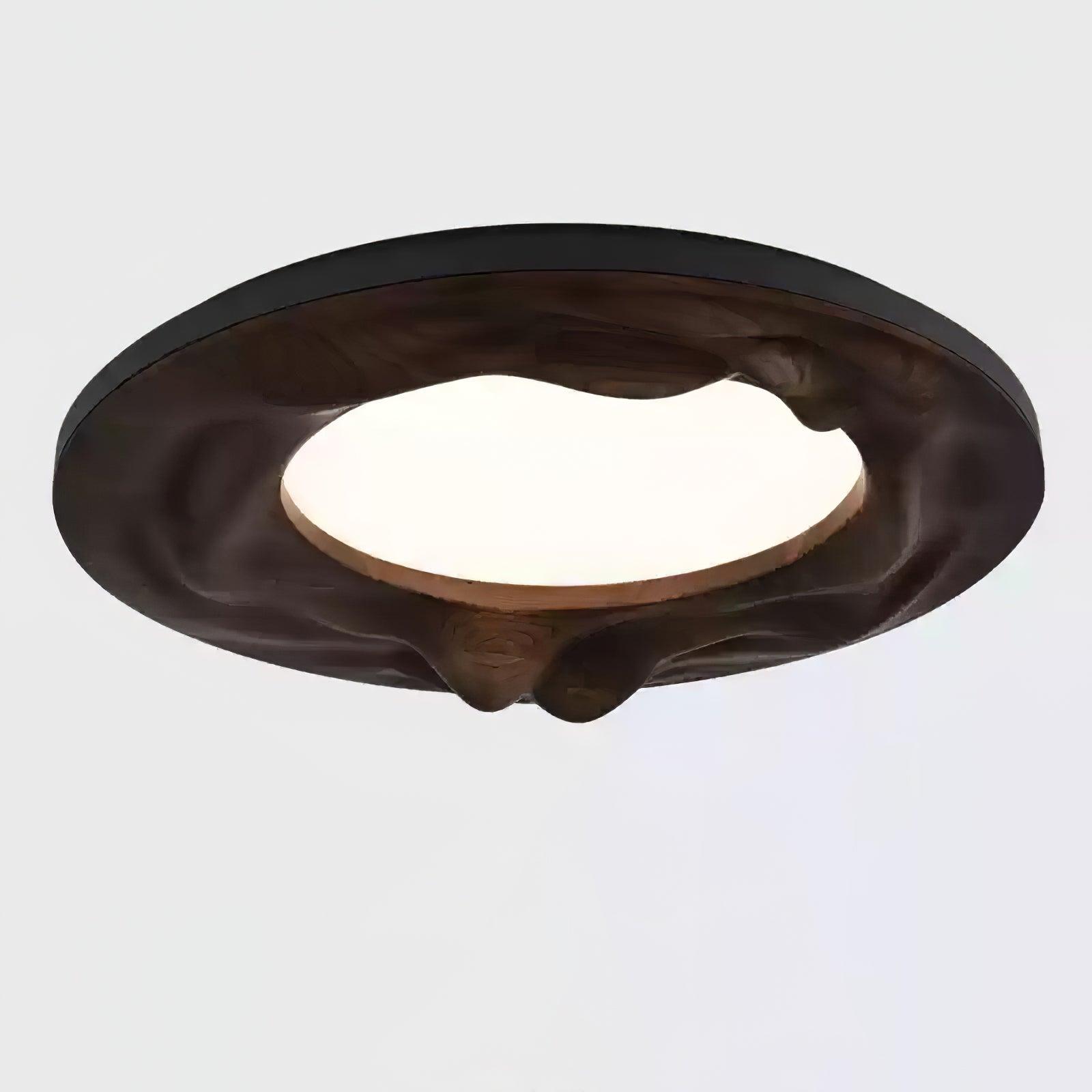 Sky Lake Ceiling Lamp 23.6" — product detail 20