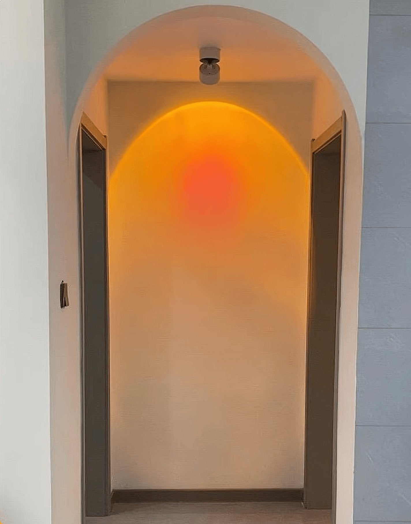 Sunset Adjustable LED Ceiling Light Spotlight