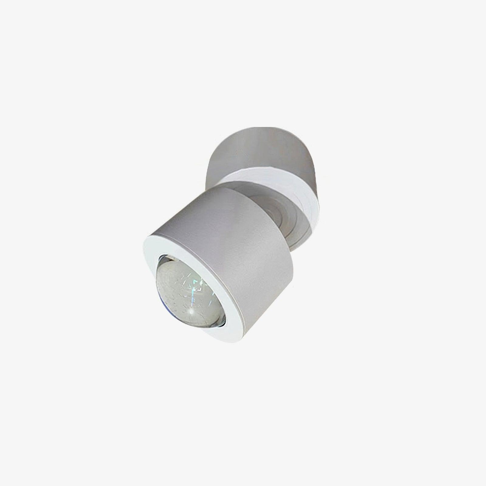 Sunset Adjustable LED Ceiling Light Spotlight