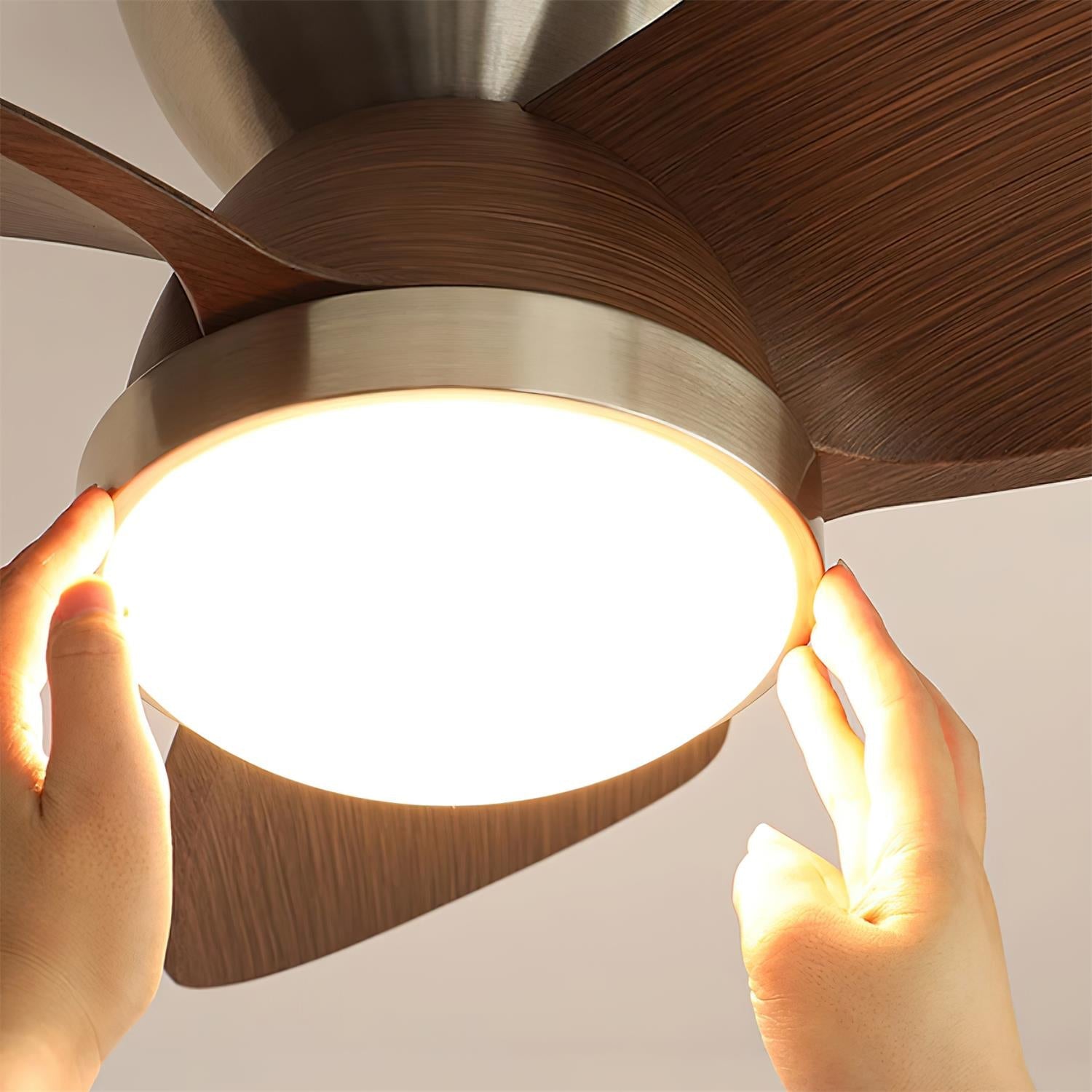 Talaya Ceiling Fan Light detail view 18