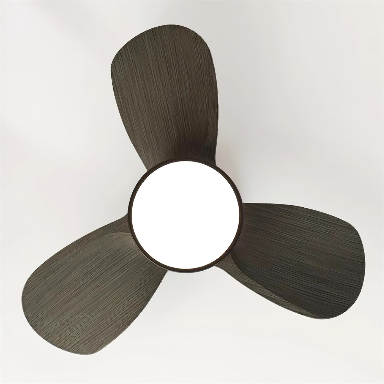 Talaya Ceiling Fan Light detail view 12