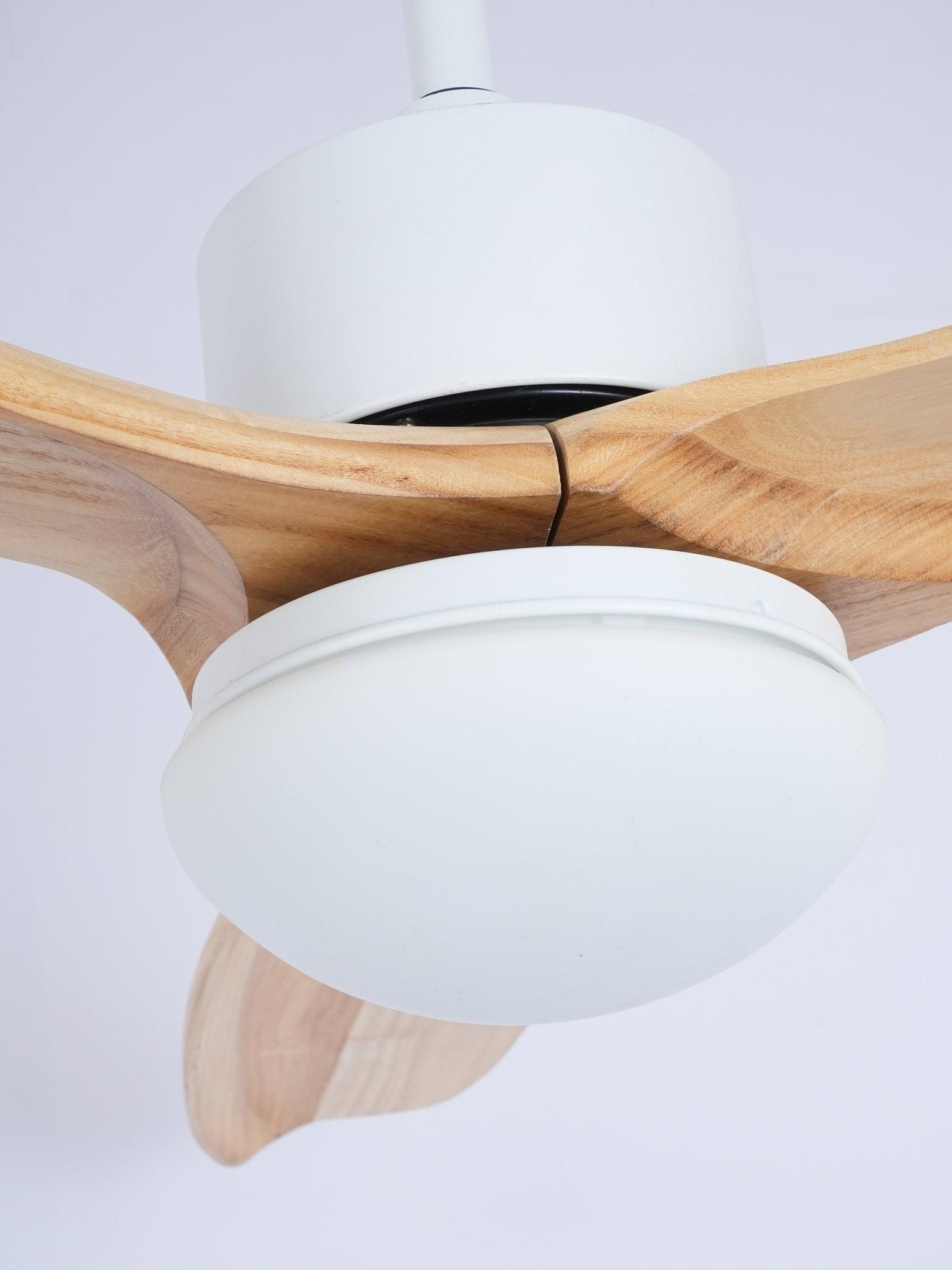 Harborough 3 Ceiling Fixture Ceiling Fan