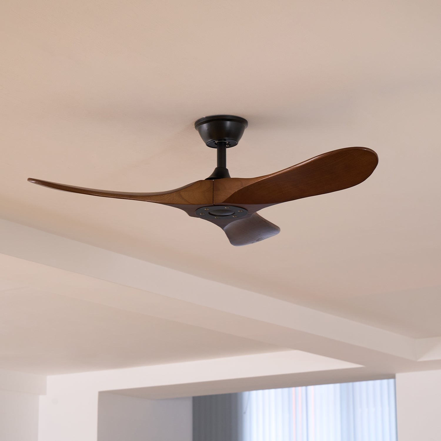 Aero Breeze Ceiling Fan Light