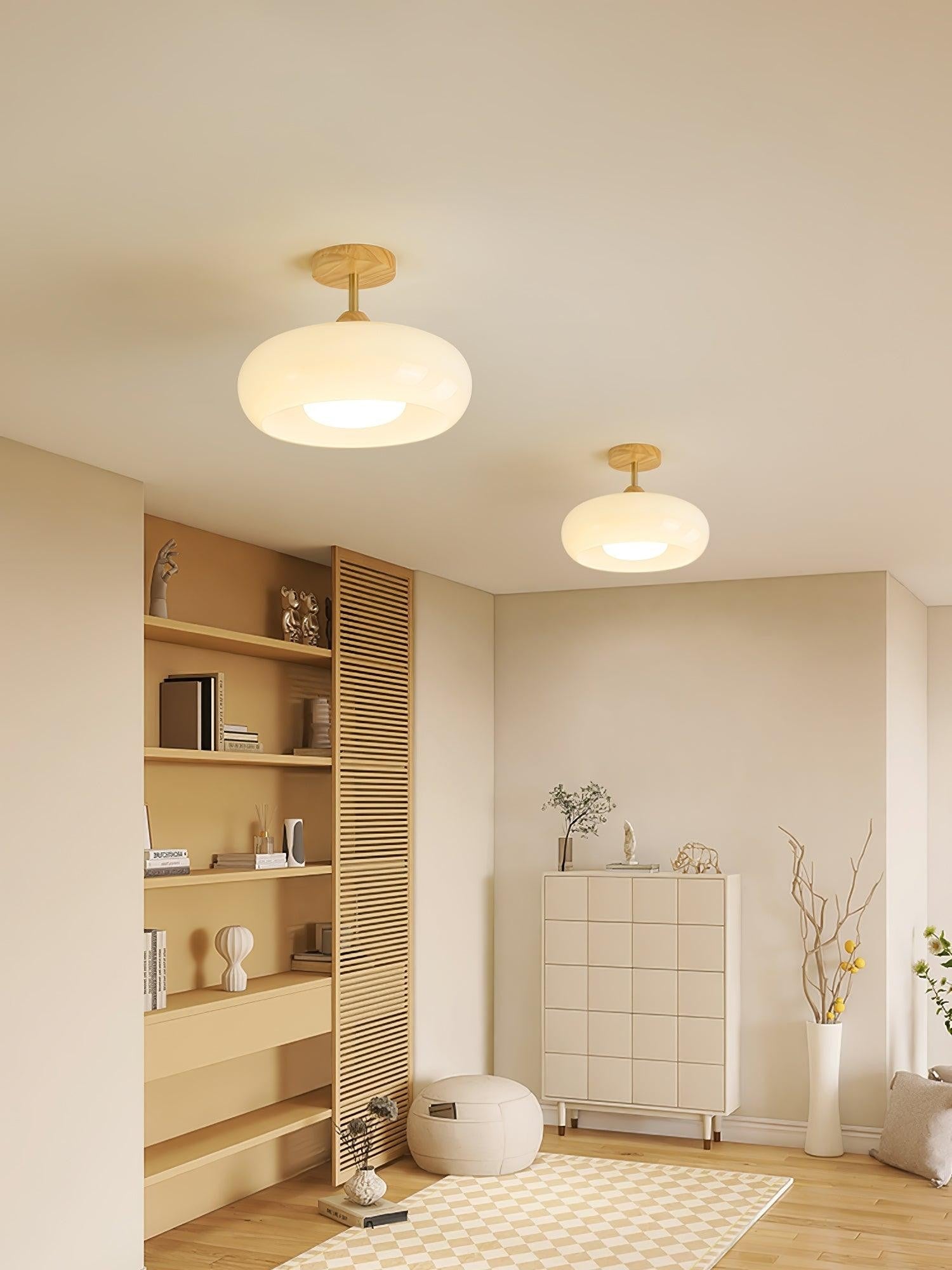 Bauhaus Glass Disc Ceiling Light