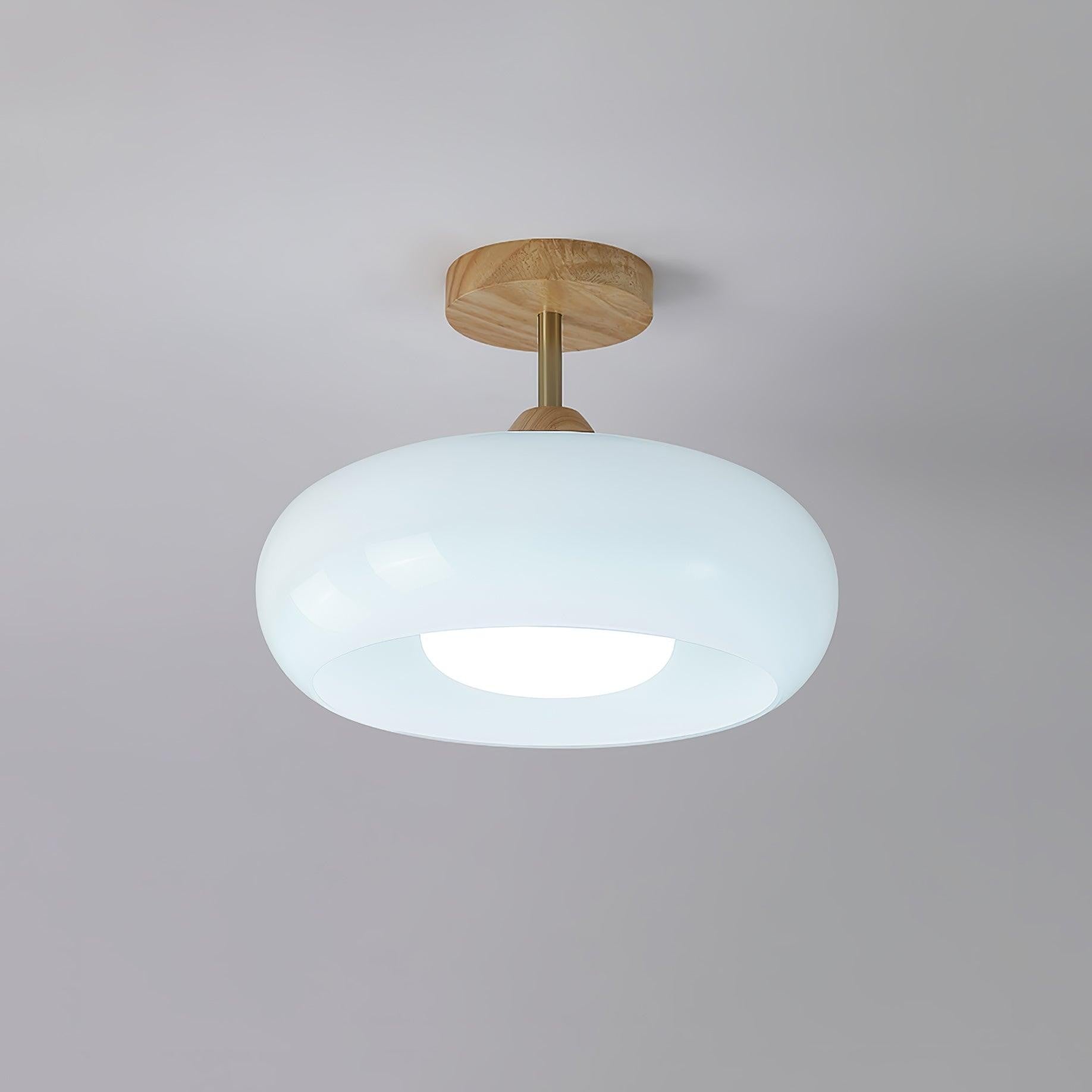 Bauhaus Glass Disc Ceiling Light