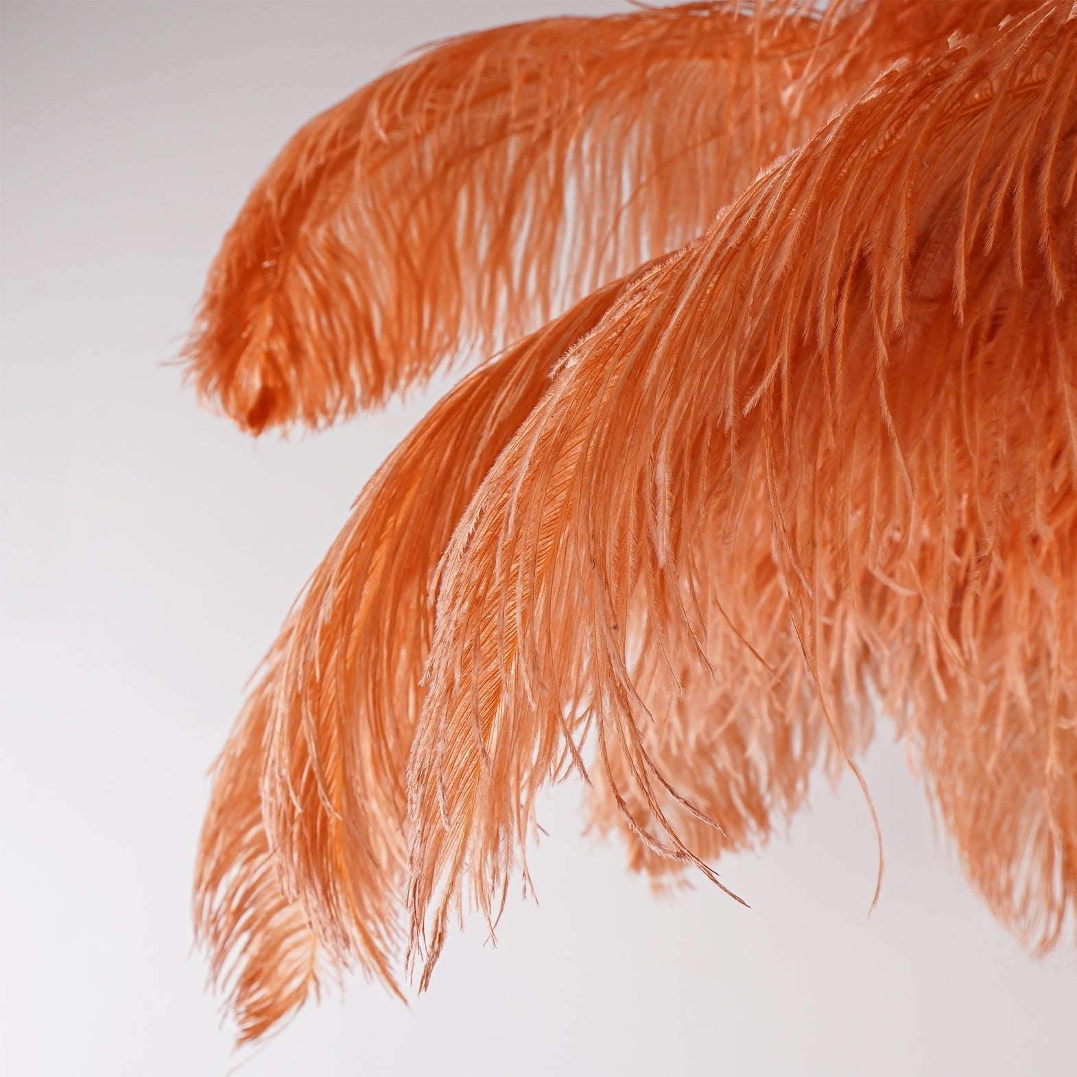 Feathered Elegance Brass Floor Lamp detail view 137
