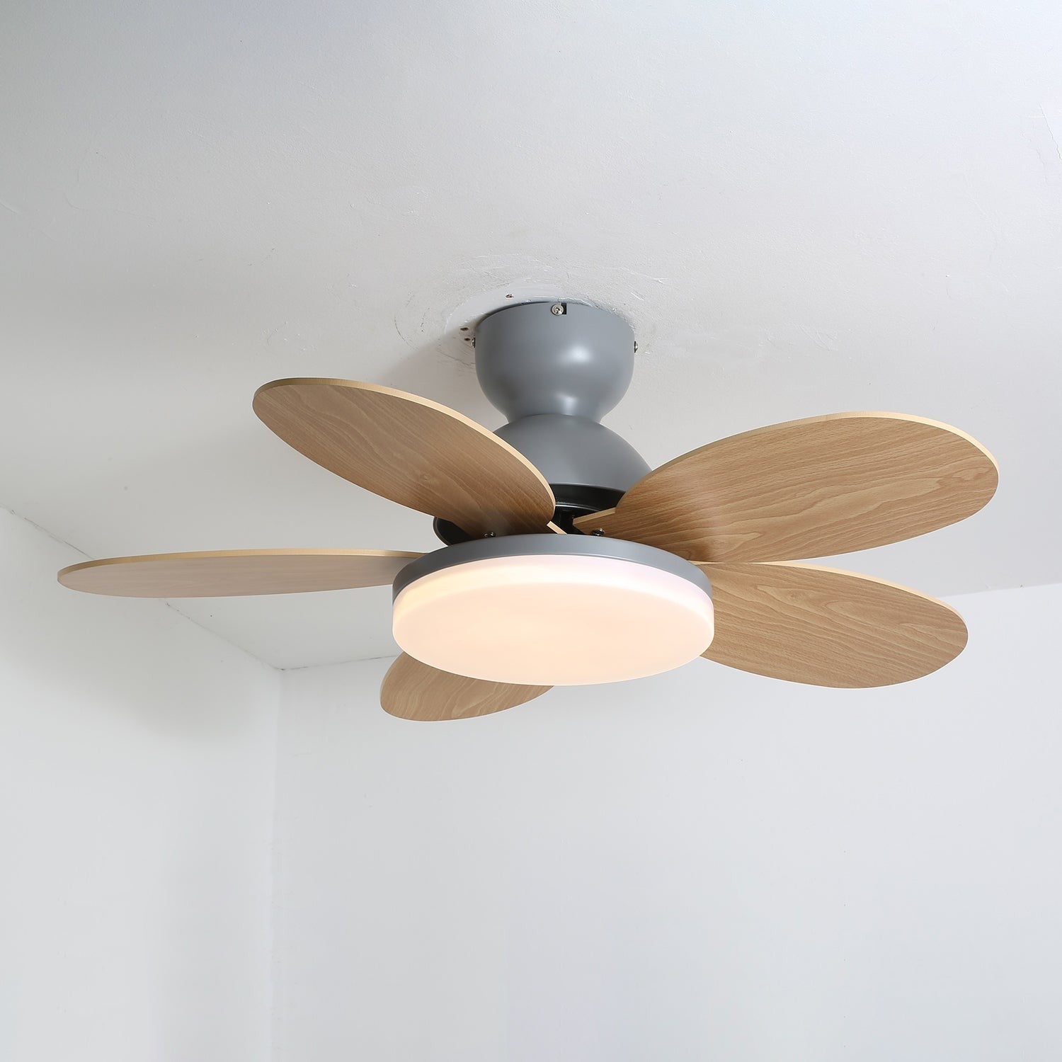Petalo Wood Blade Ceiling Fan Light