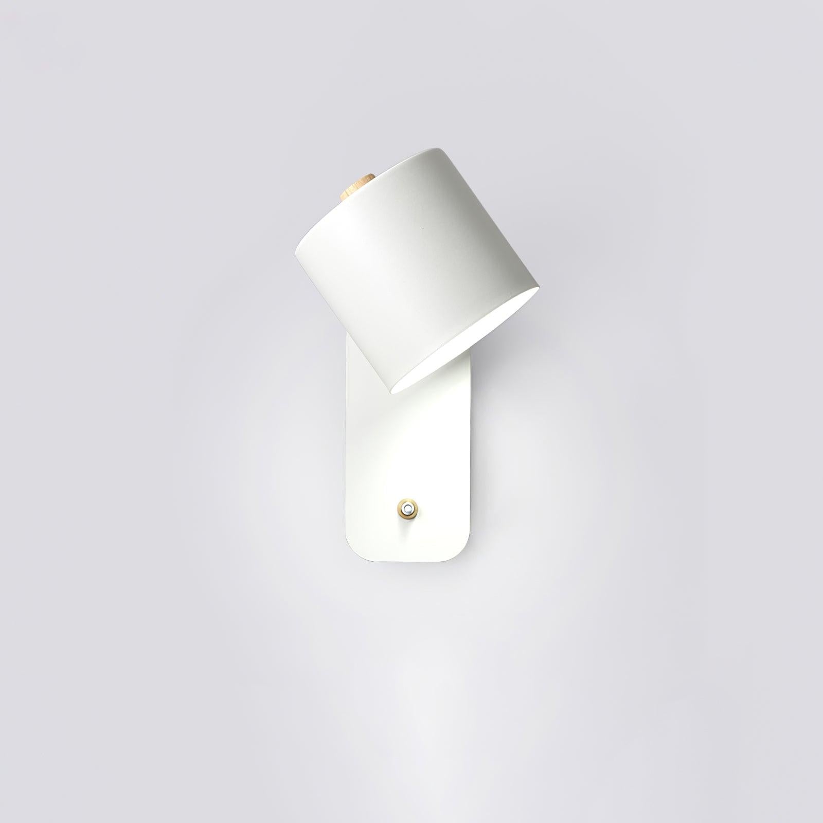 Pivot Cylinder Wall Light