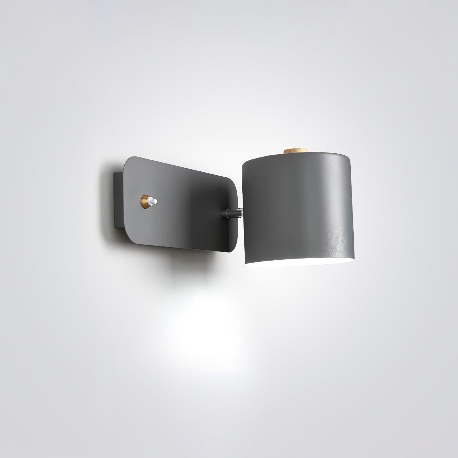 Pivot Cylinder Wall Light