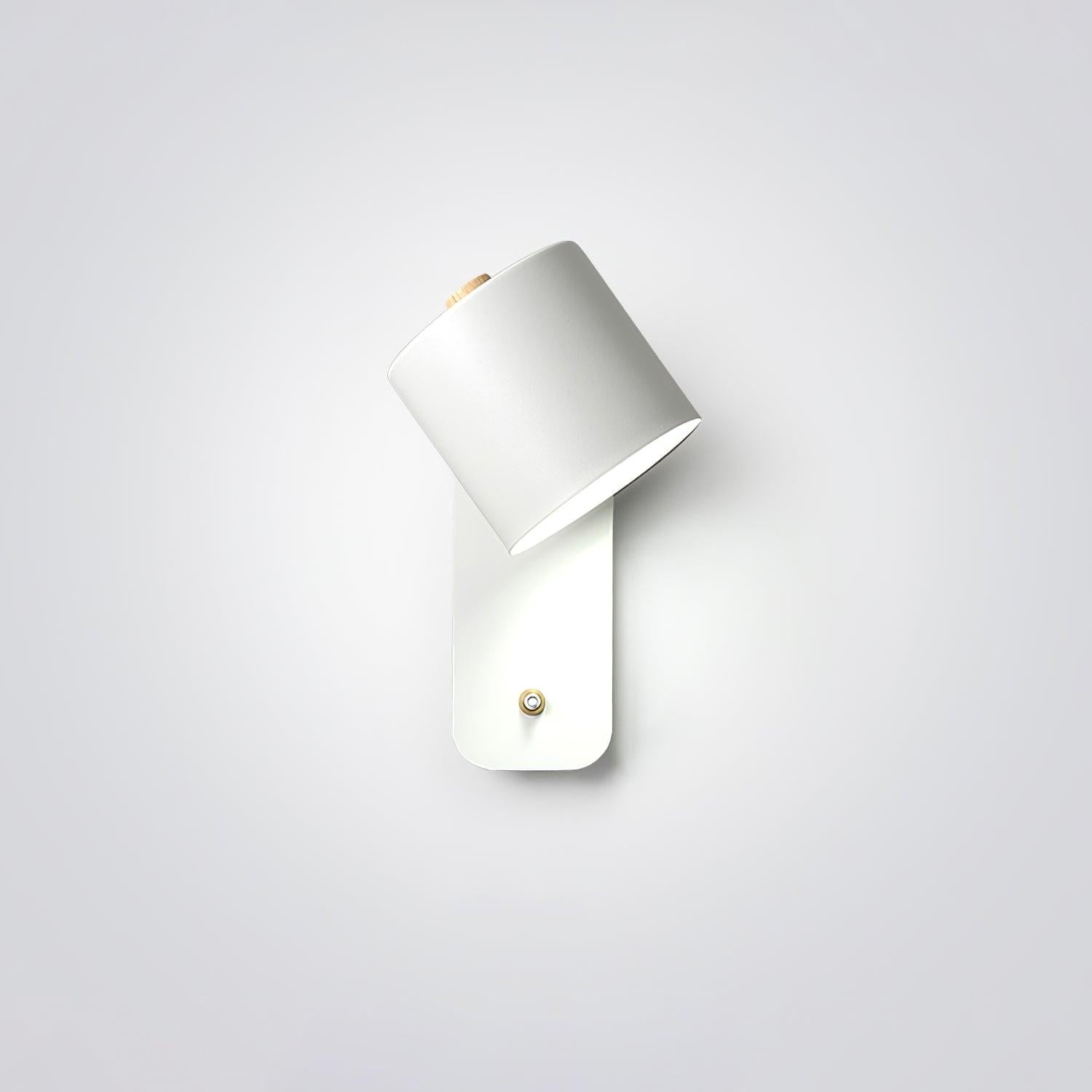 Pivot Cylinder Wall Light