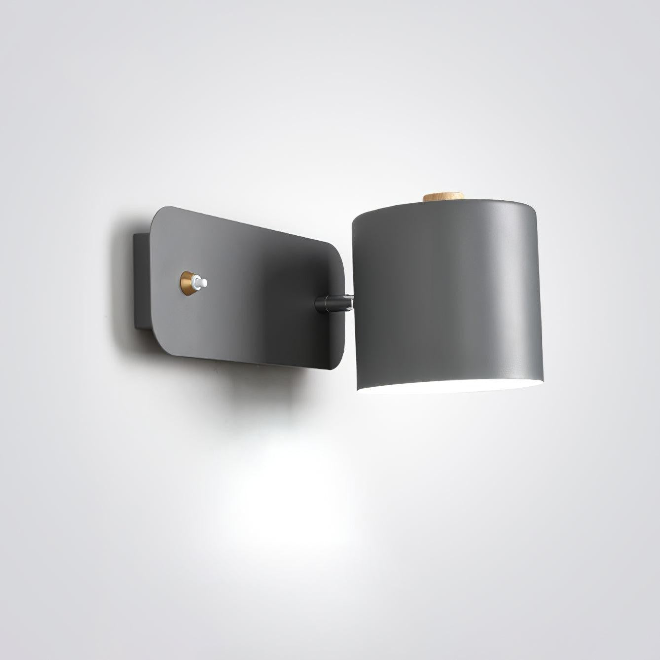 Pivot Cylinder Wall Light
