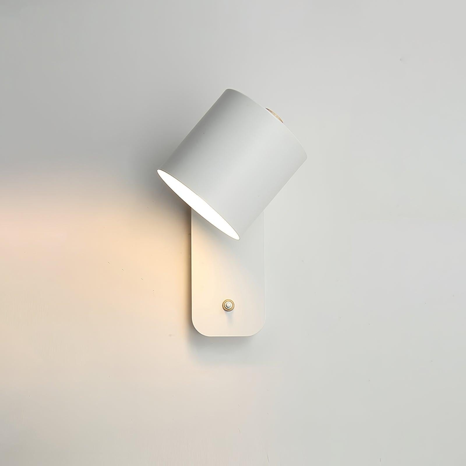 Pivot Cylinder Wall Light