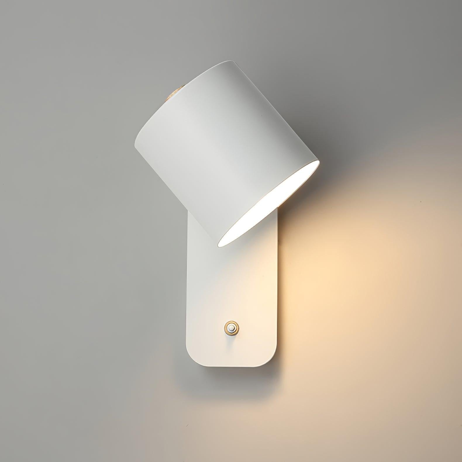 Pivot Cylinder Wall Light