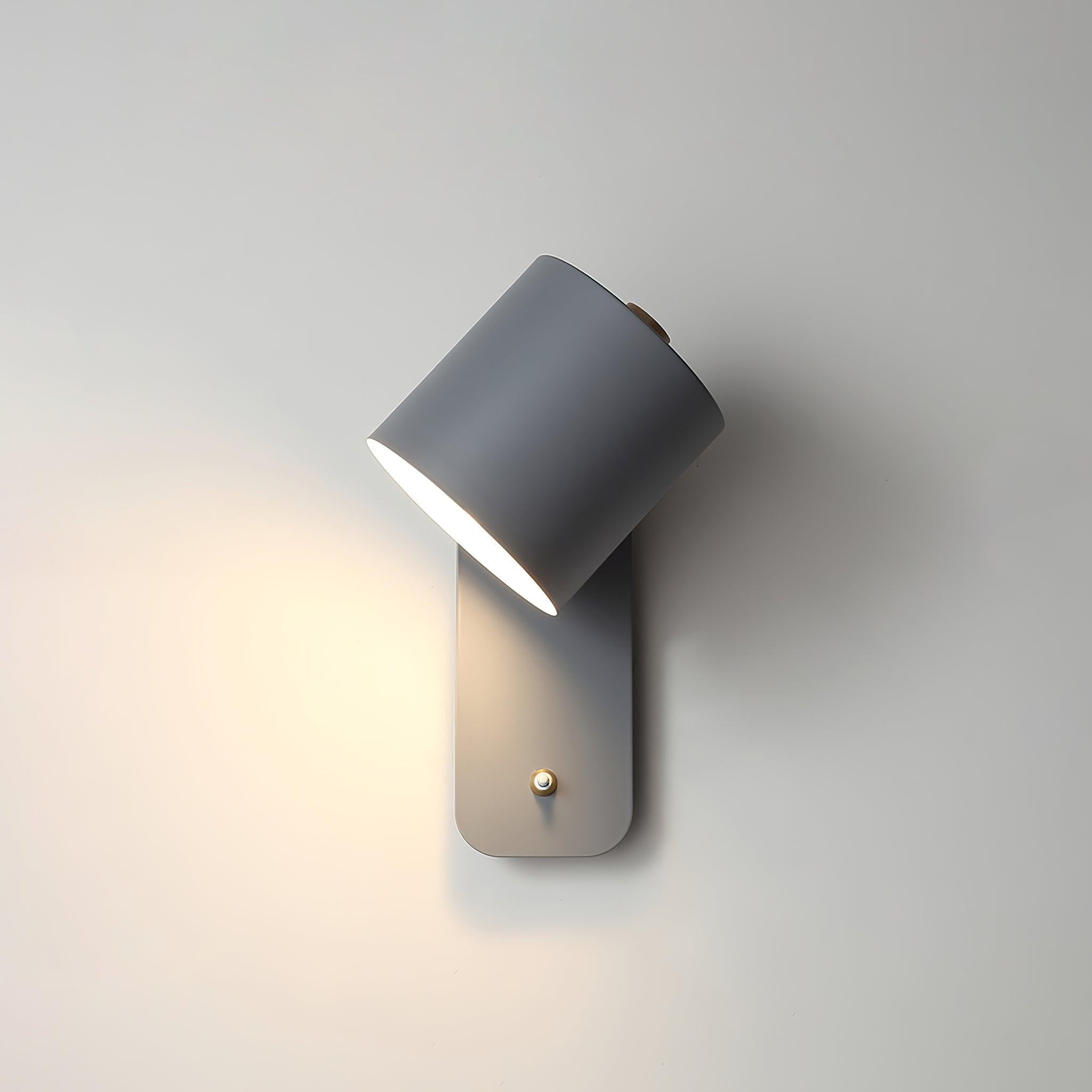Pivot Cylinder Wall Light
