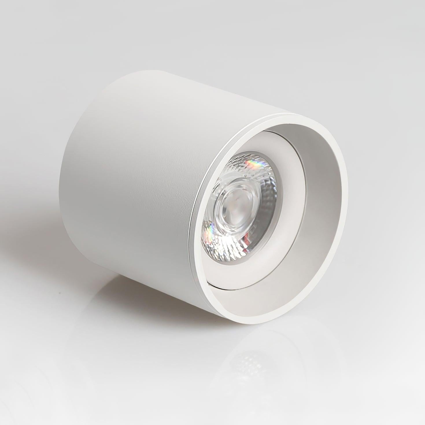 Ridge Edge Flush Ceiling Light