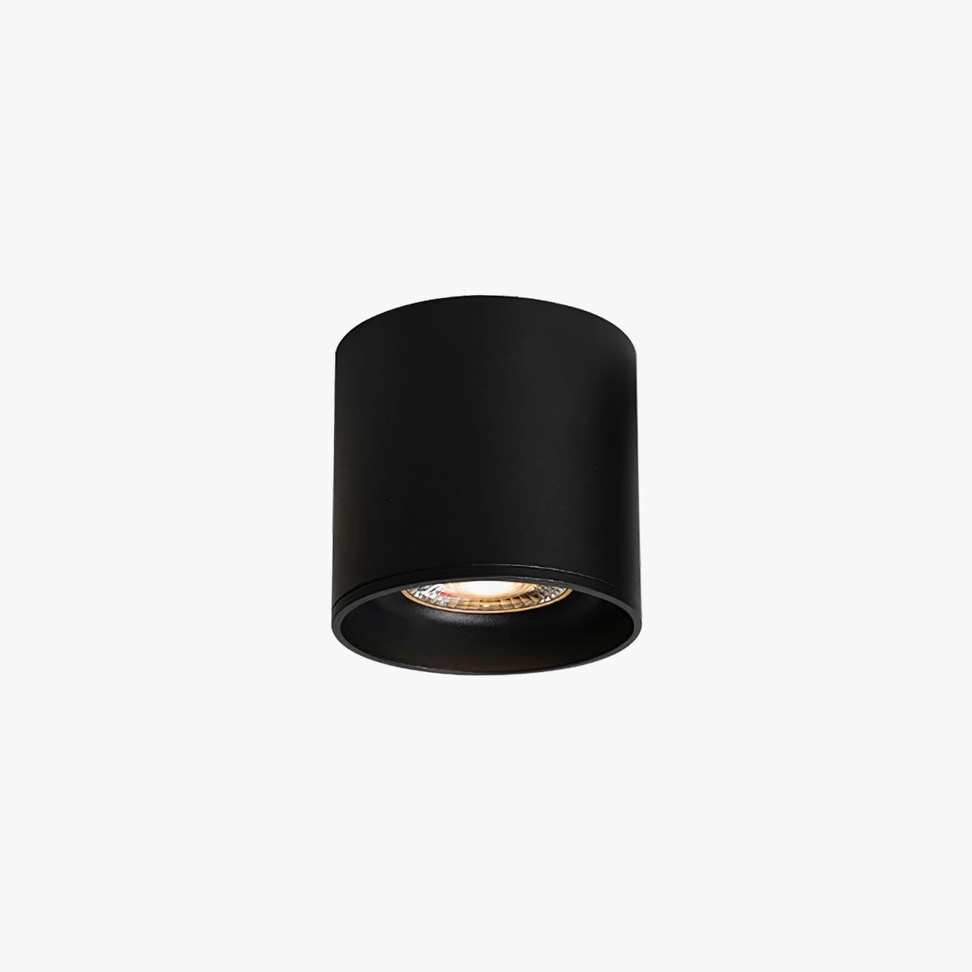 Ridge Edge Flush Ceiling Light
