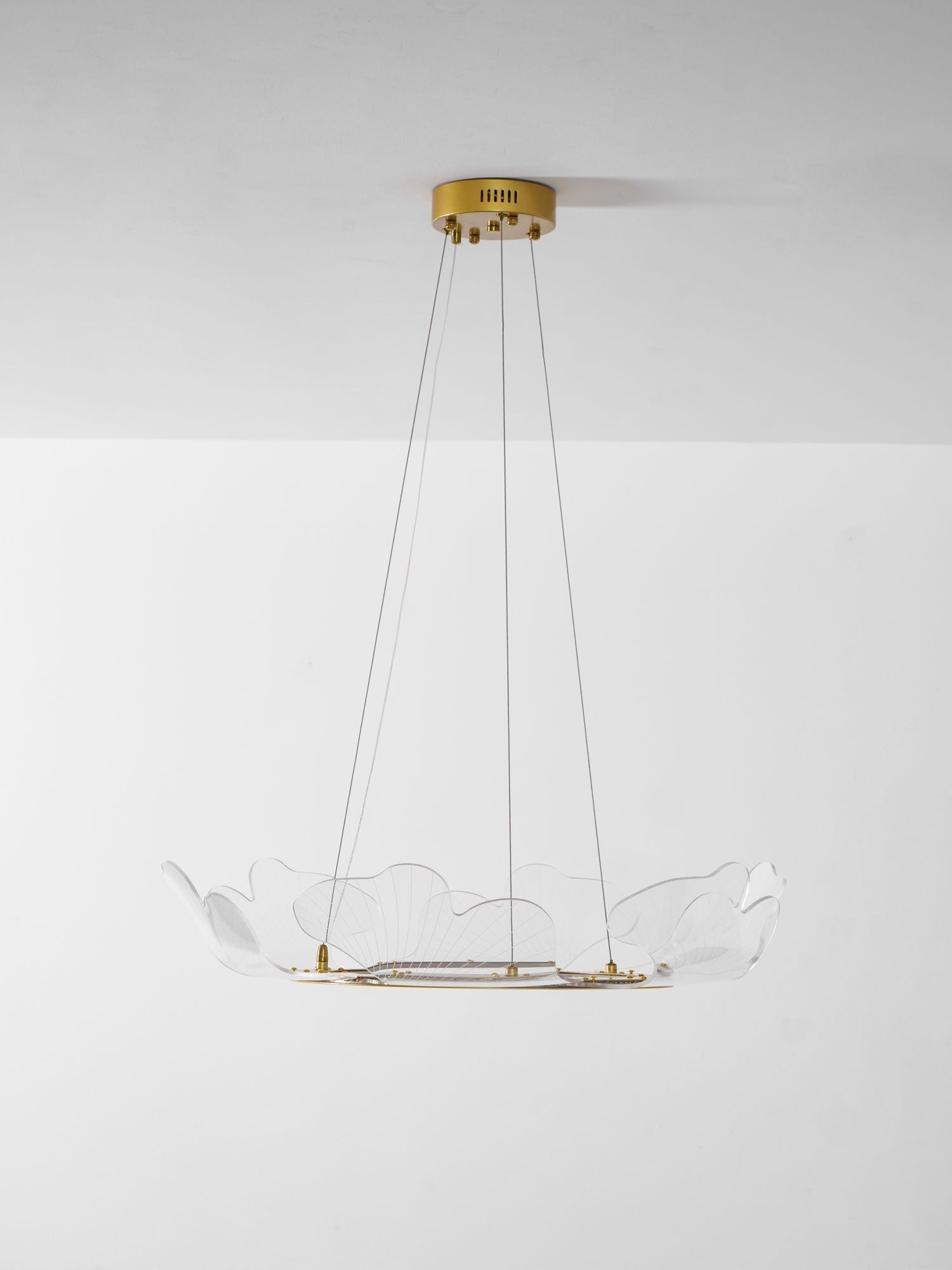 Sea Fan Chandelier