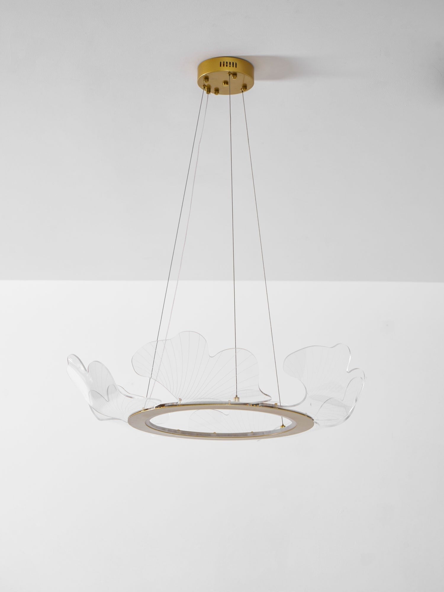 Sea Fan Chandelier
