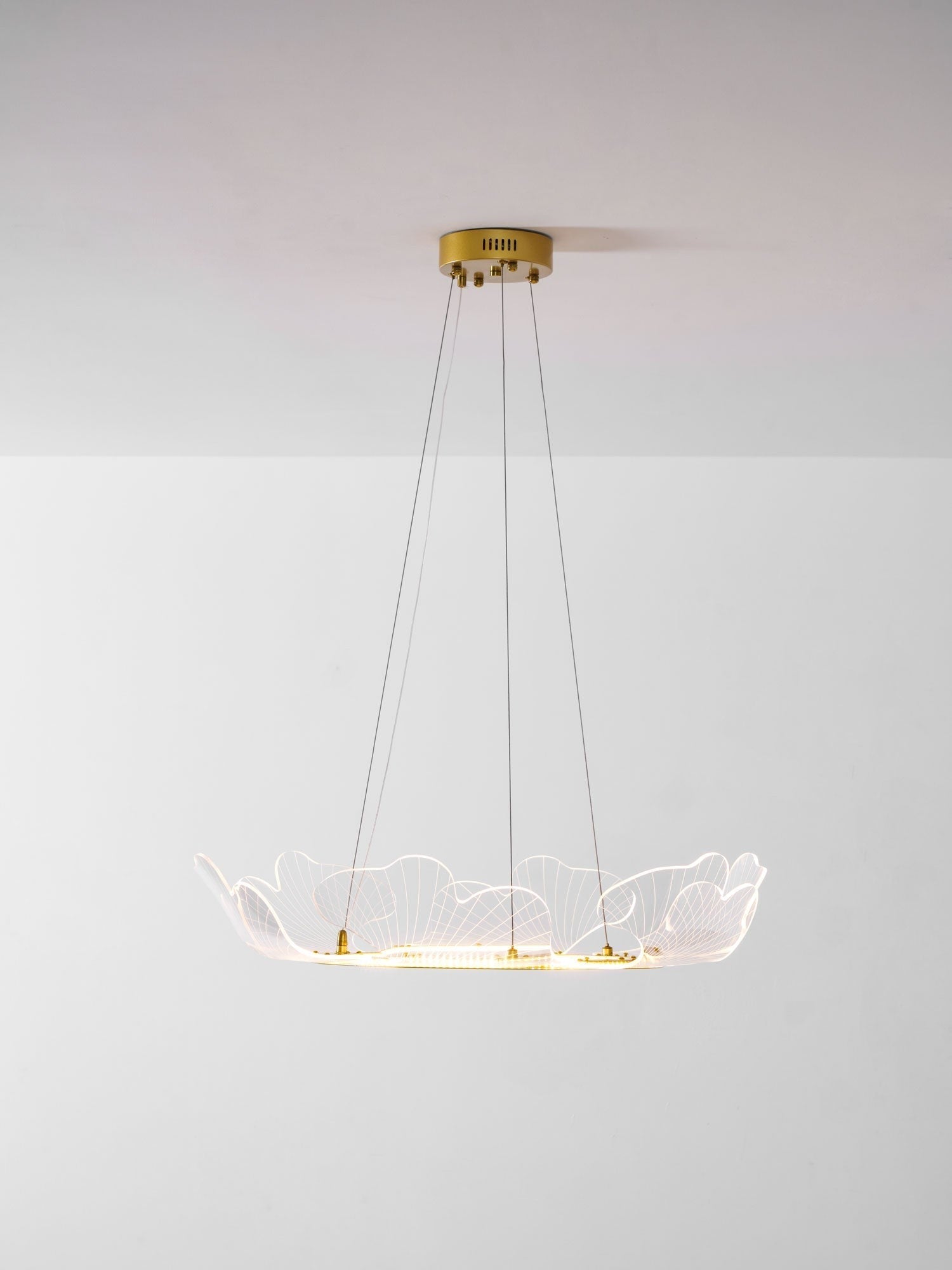 Sea Fan Chandelier