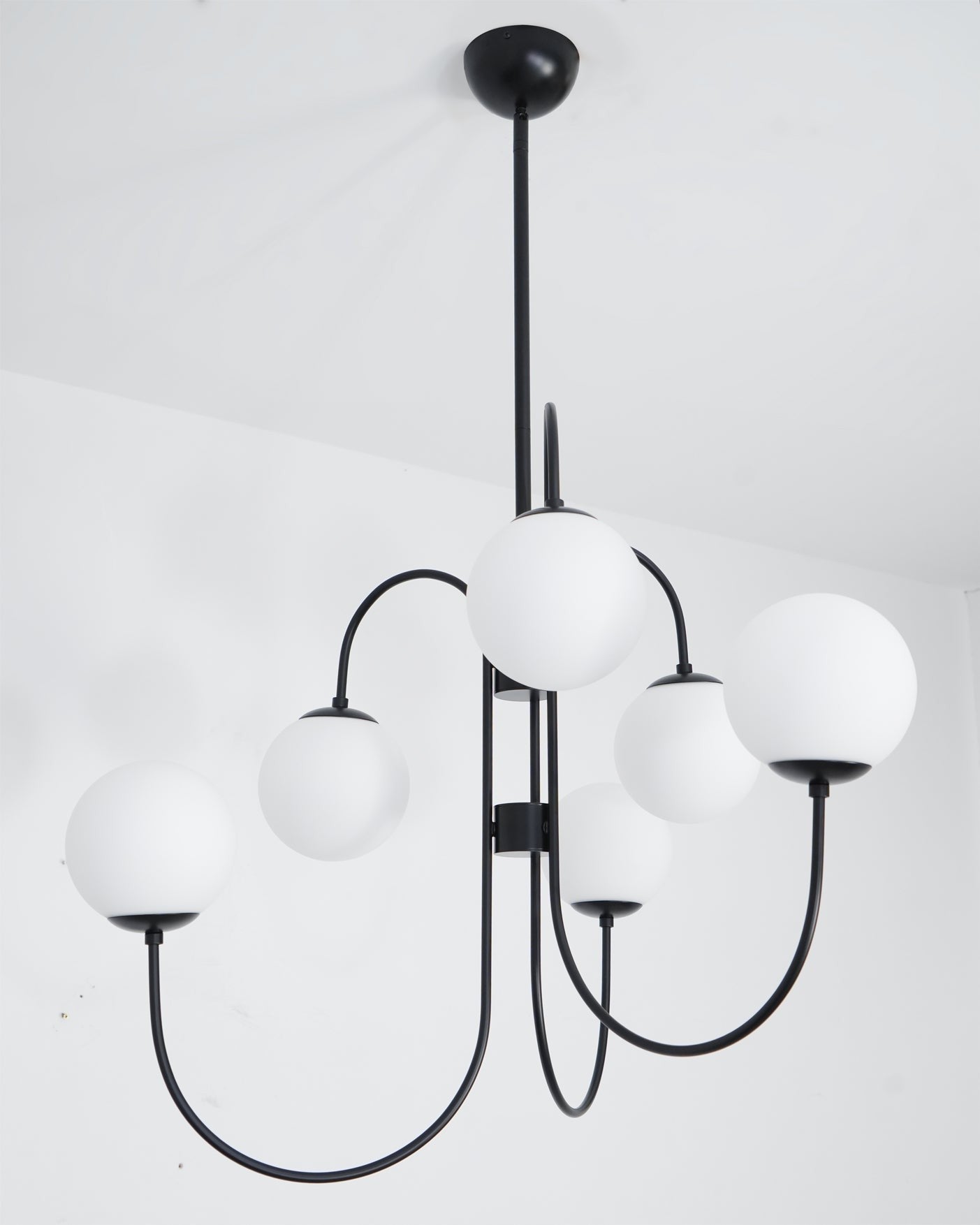 Swan Curve Glass Chandelier