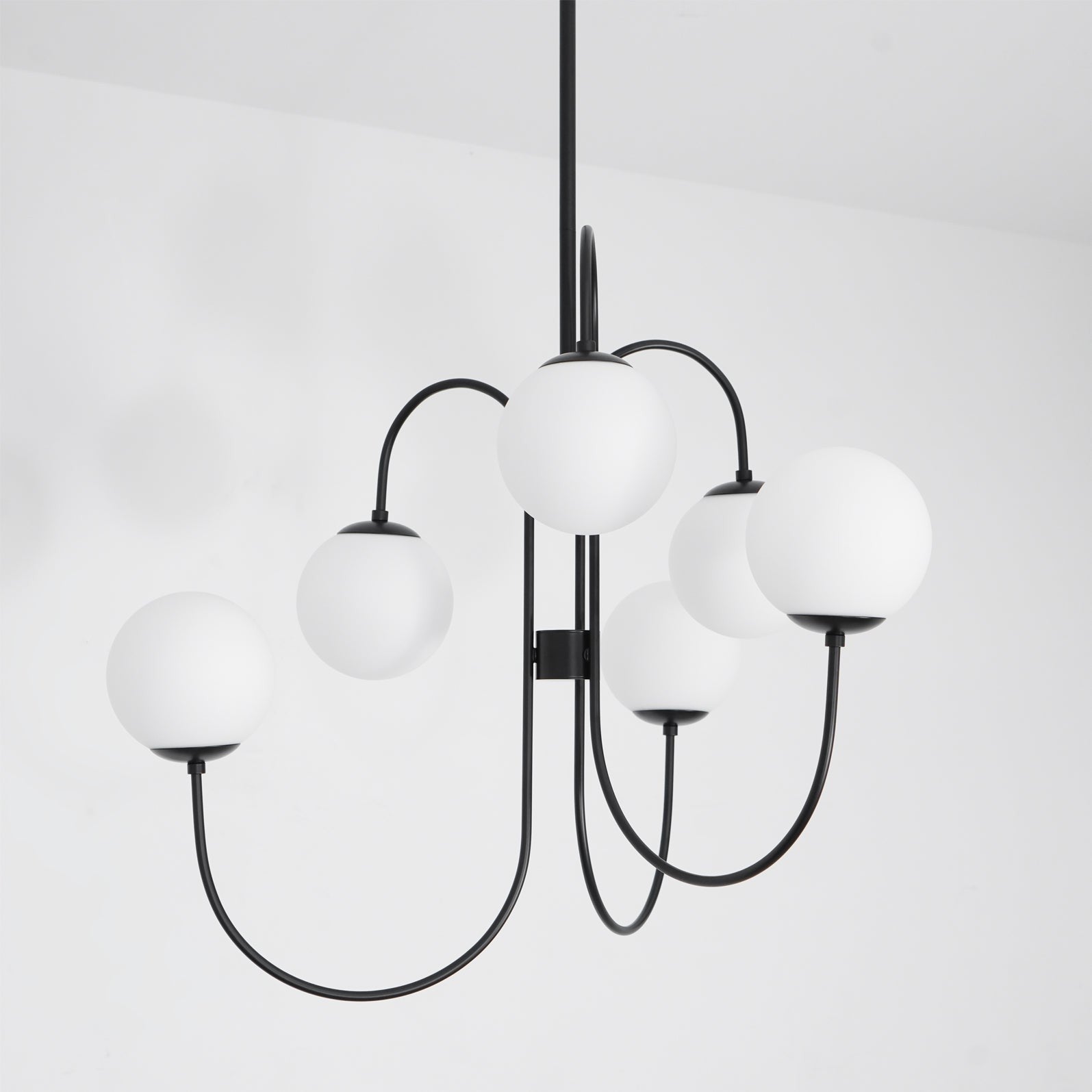 Swan Curve Glass Chandelier