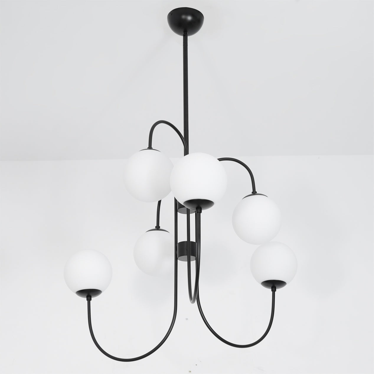 Swan Curve Glass Chandelier
